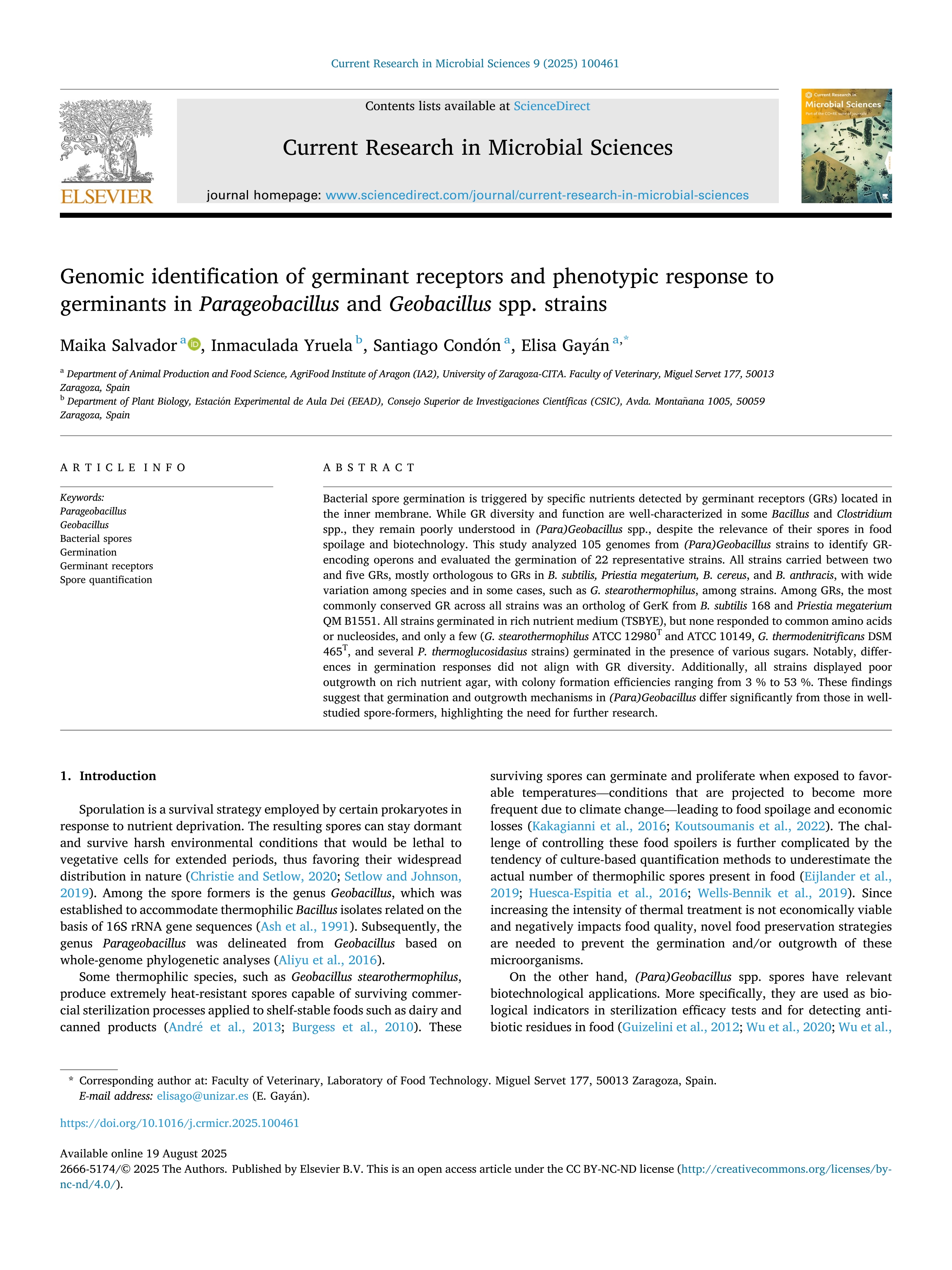 Genomic identification of germinant receptors and phenotypic response to germinants in Parageobacillus and Geobacillus spp. strains