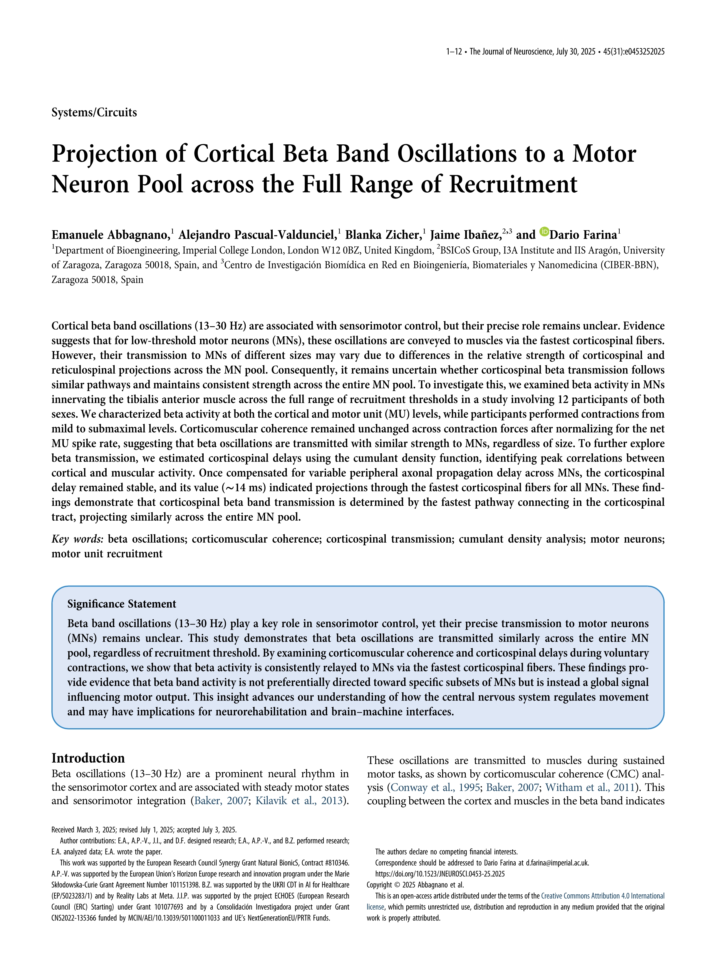 Projection of Cortical Beta Band Oscillations to a Motor Neuron Pool across the Full Range of Recruitment