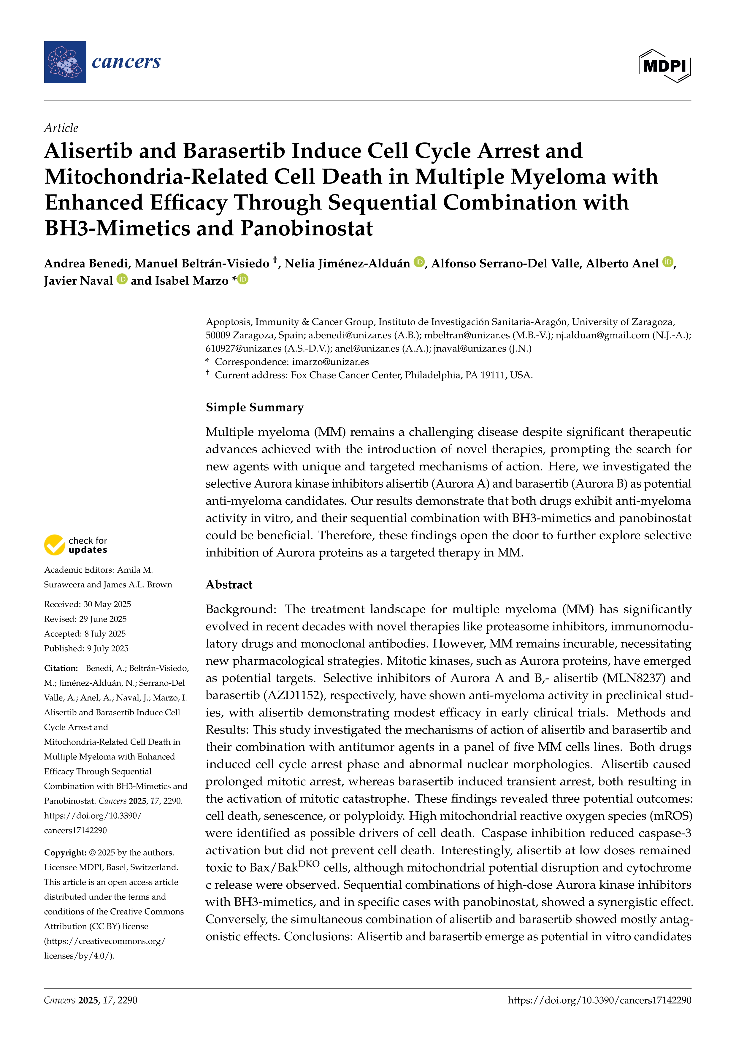 Alisertib and Barasertib Induce Cell Cycle Arrest and Mitochondria-Related Cell Death in Multiple Myeloma with Enhanced Efficacy Through Sequential Combination with BH3-Mimetics and Panobinostat