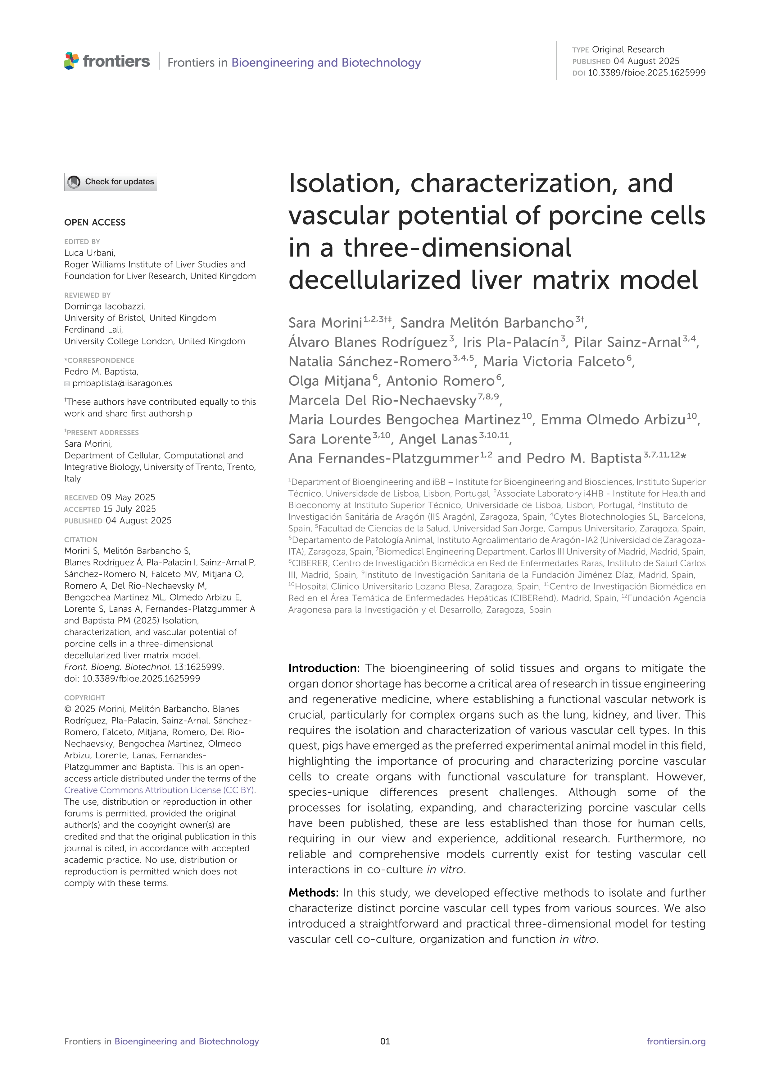 Isolation, characterization, and vascular potential of porcine cells in a three-dimensional decellularized liver matrix model