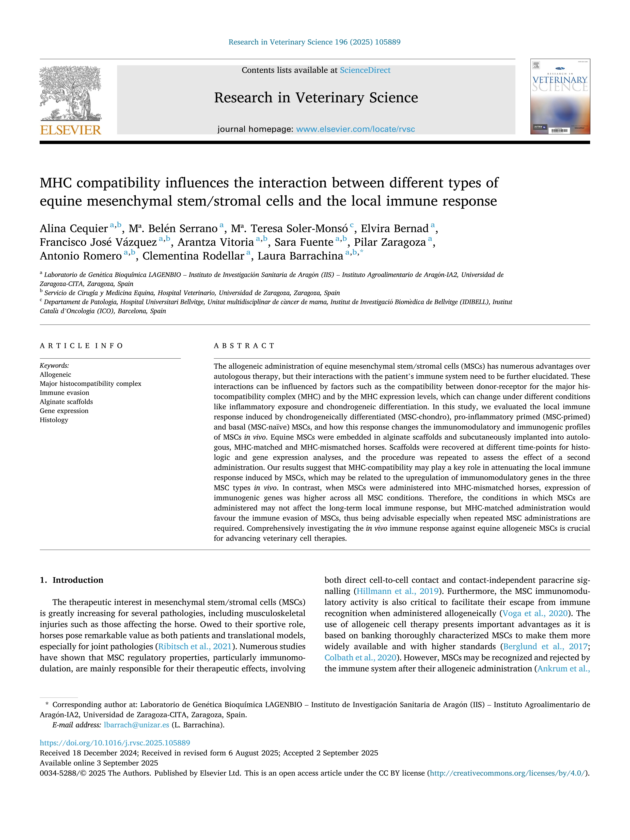 MHC compatibility influences the interaction between different types of equine mesenchymal stem/stromal cells and the local immune response