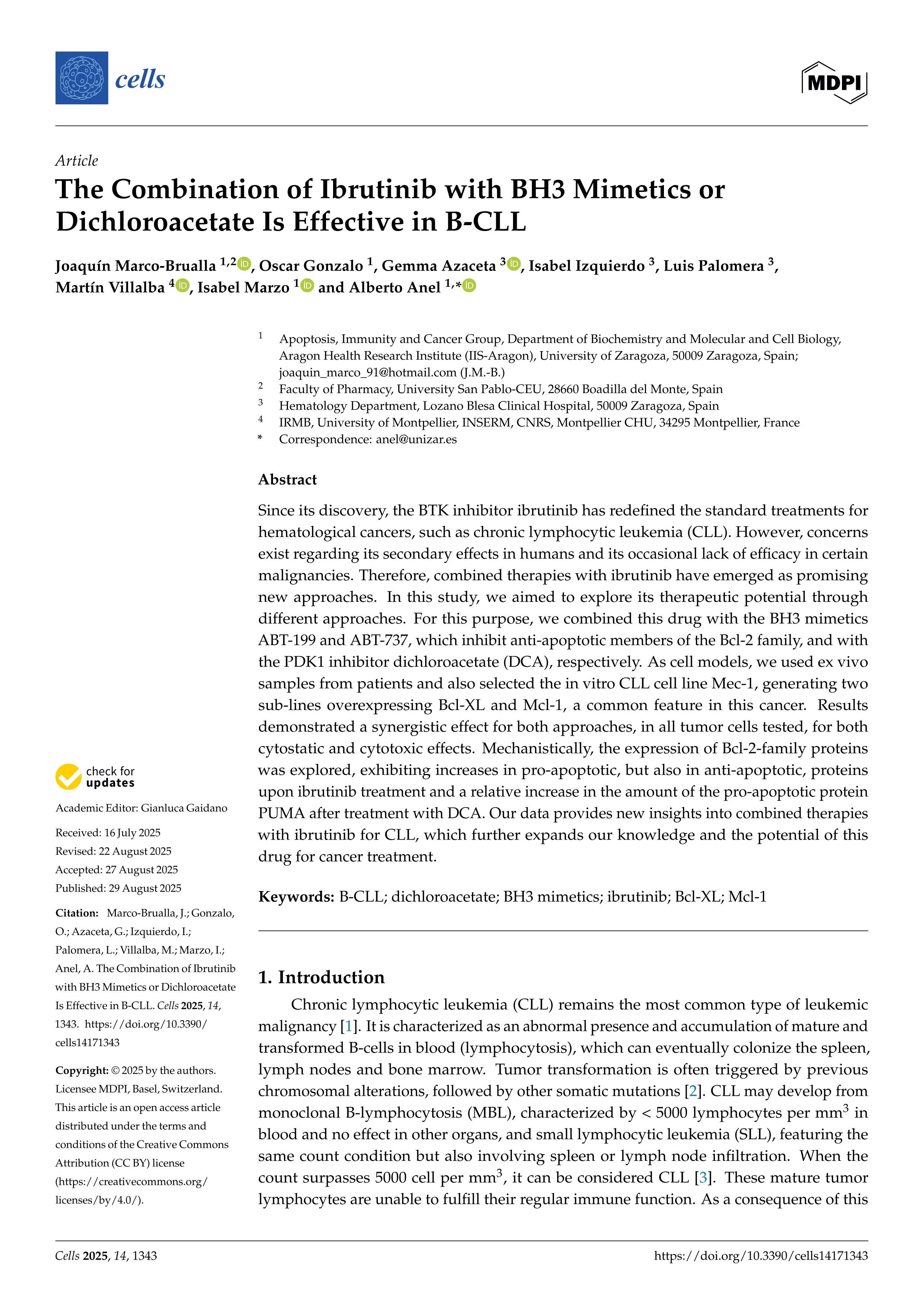 The Combination of Ibrutinib with BH3 Mimetics or Dichloroacetate Is Effective in B-CLL