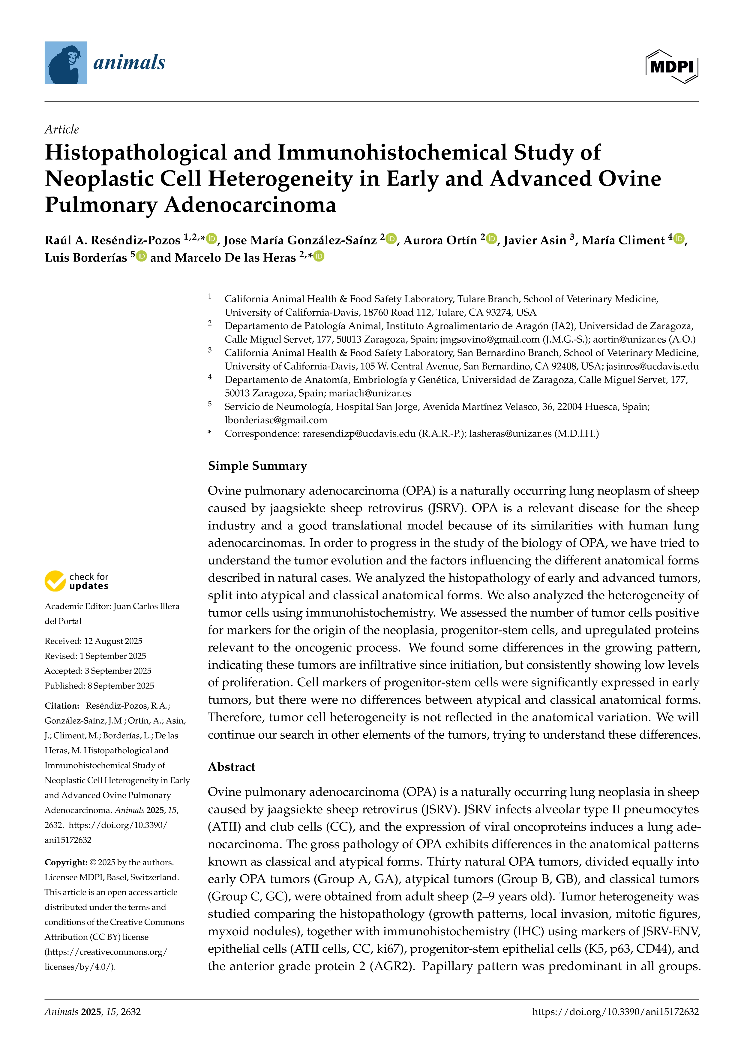 Histopathological and Immunohistochemical Study of Neoplastic Cell Heterogeneity in Early and Advanced Ovine Pulmonary Adenocarcinoma