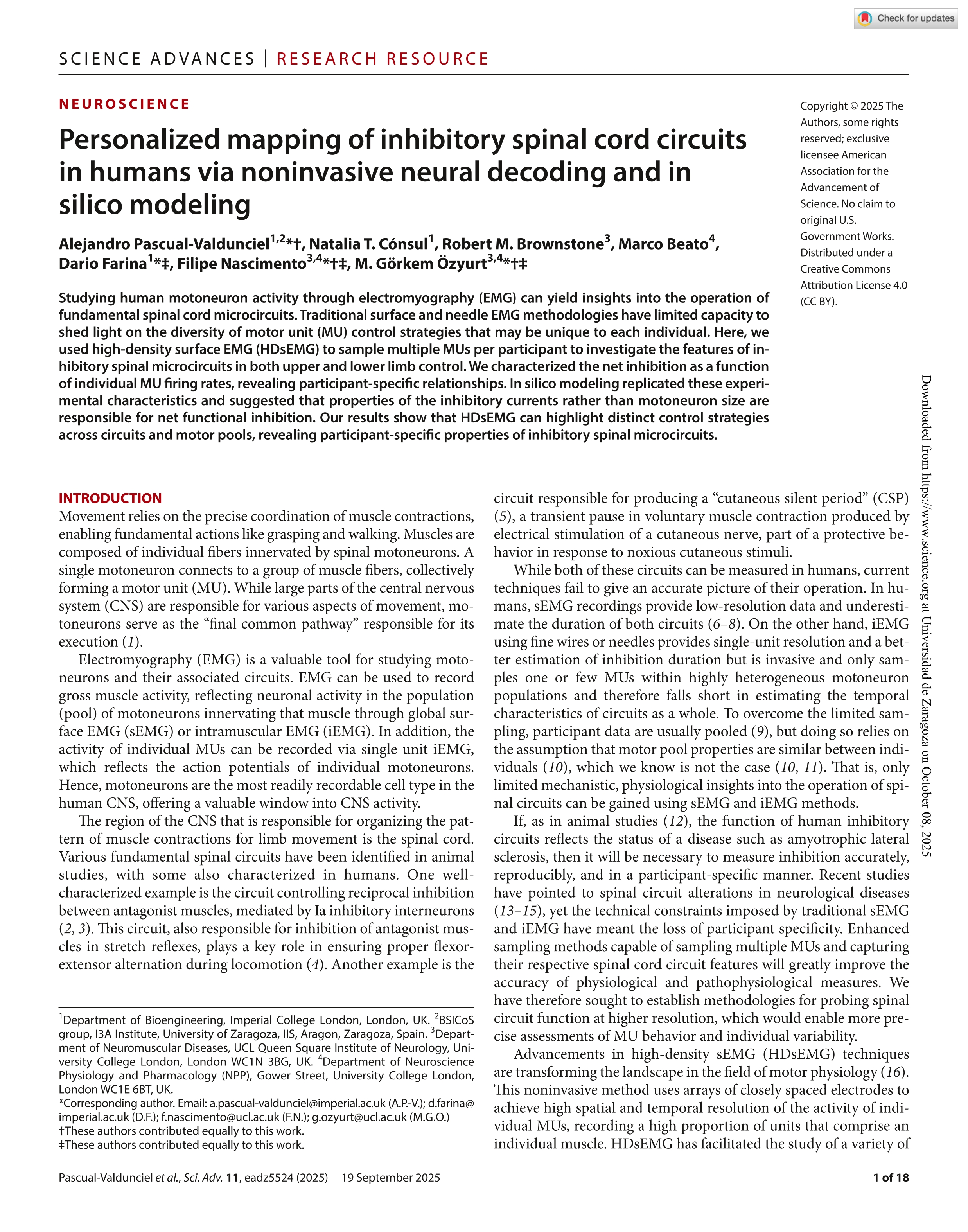 Personalized mapping of inhibitory spinal cord circuits in humans via noninvasive neural decoding and in silico modeling