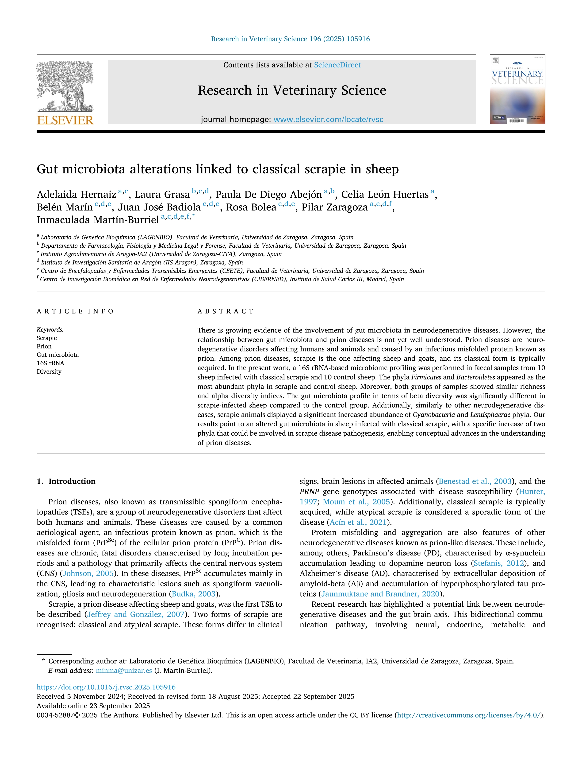 Gut microbiota alterations linked to classical scrapie in sheep