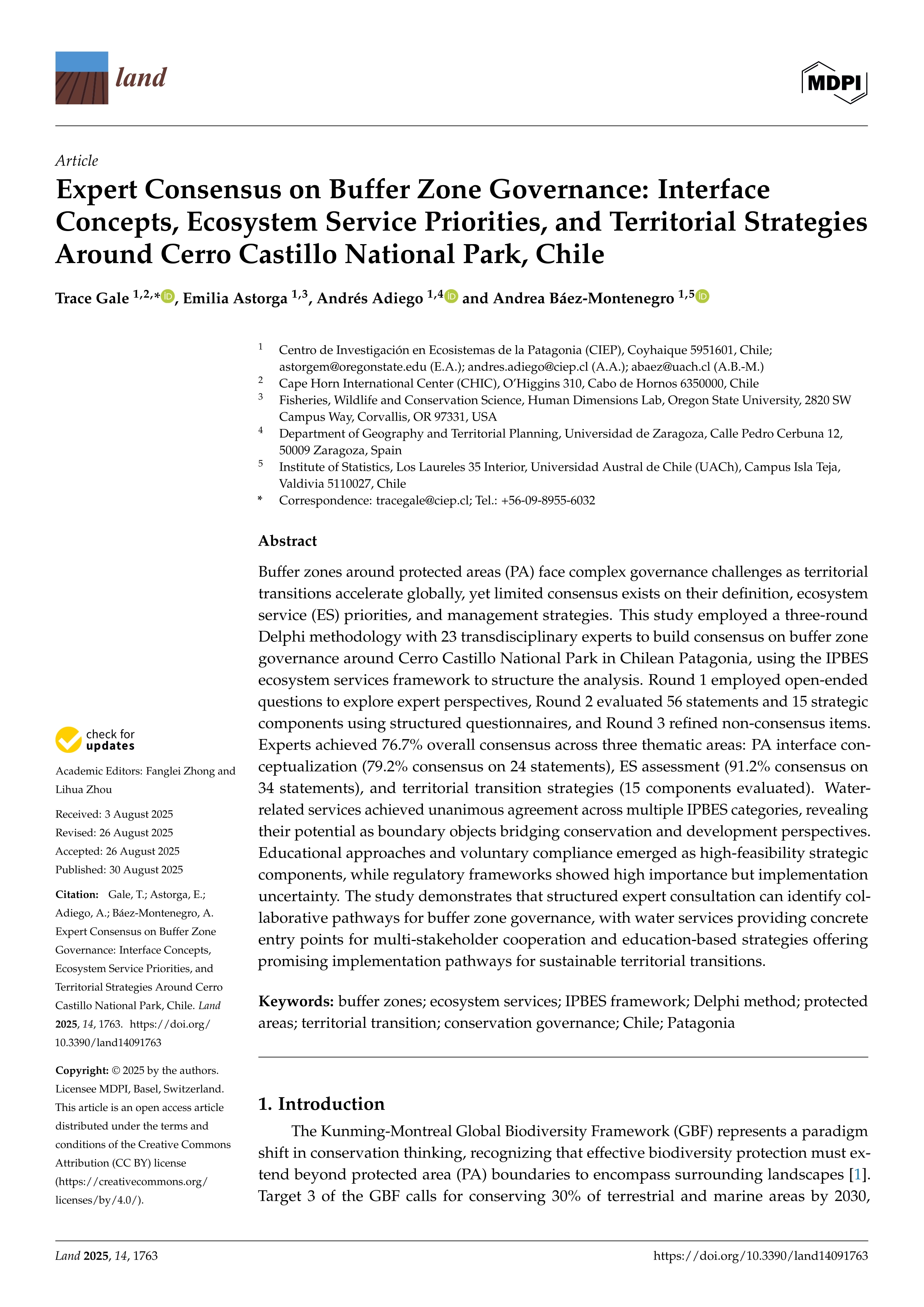 Expert Consensus on Buffer Zone Governance: Interface Concepts, Ecosystem Service Priorities, and Territorial Strategies Around Cerro Castillo National Park, Chile