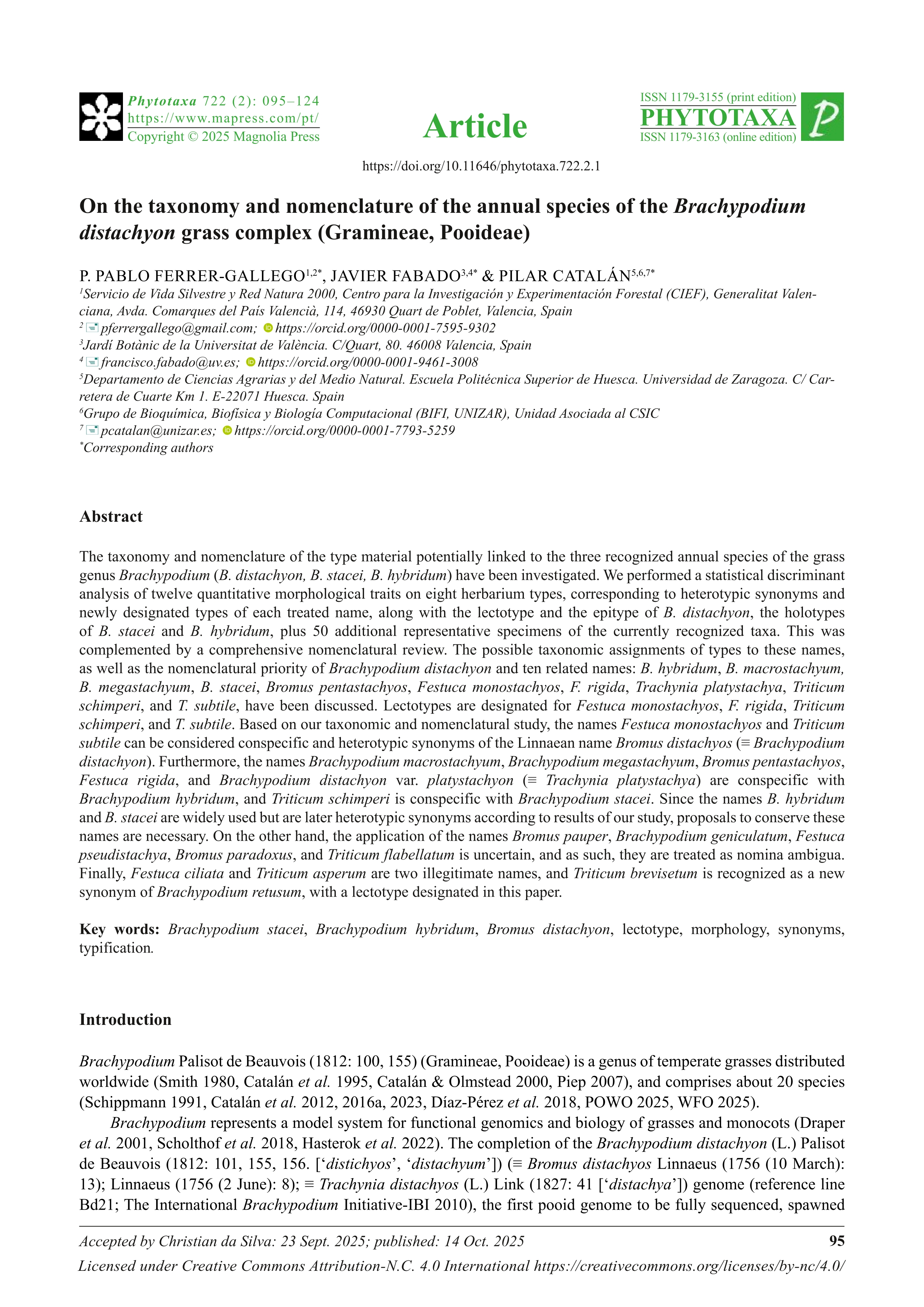 On the taxonomy and nomenclature of the annual species of the Brachypodium distachyon grass complex (Gramineae, Pooideae)
