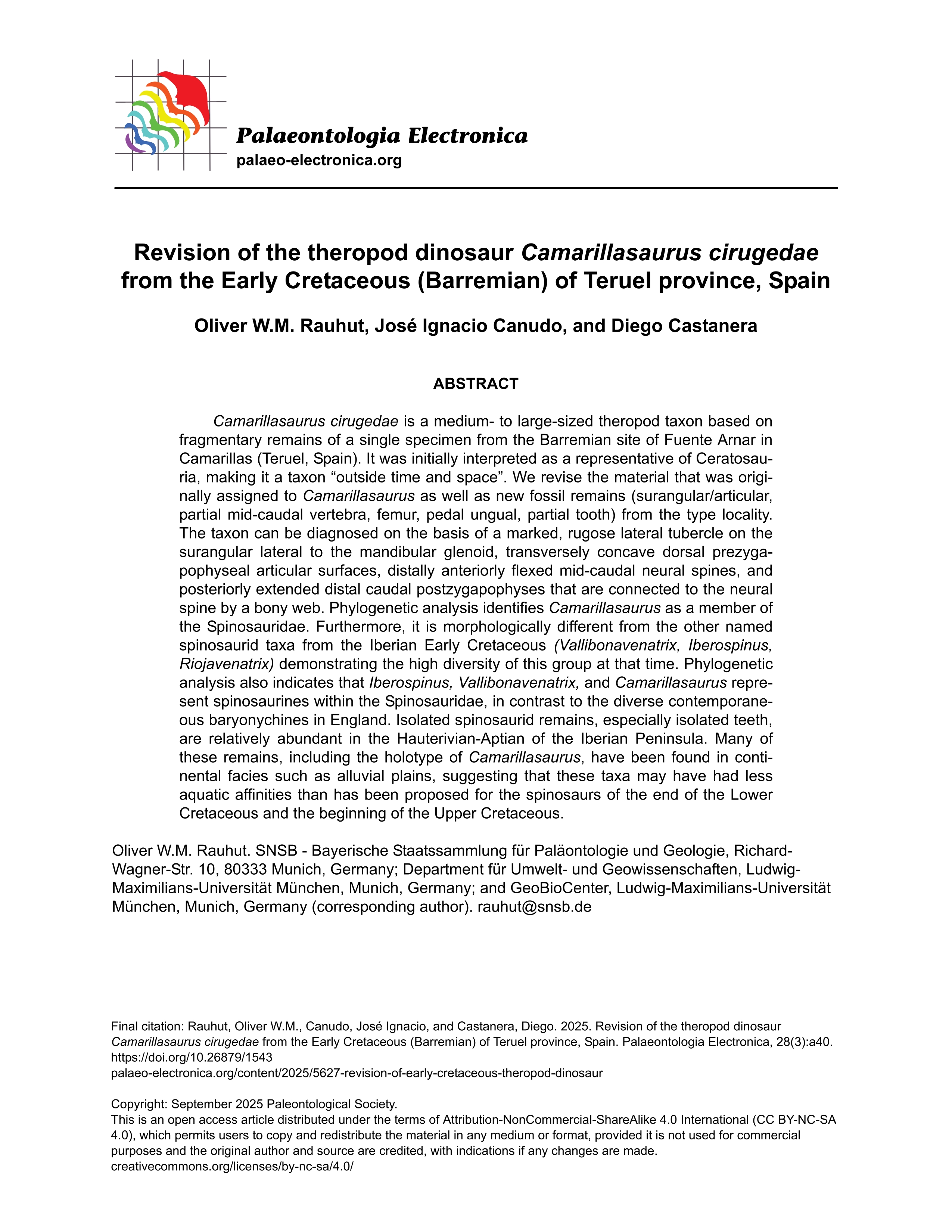 Revision of the theropod dinosaur Camarillasaurus cirugedae from the Early Cretaceous (Barremian) of Teruel province, Spain