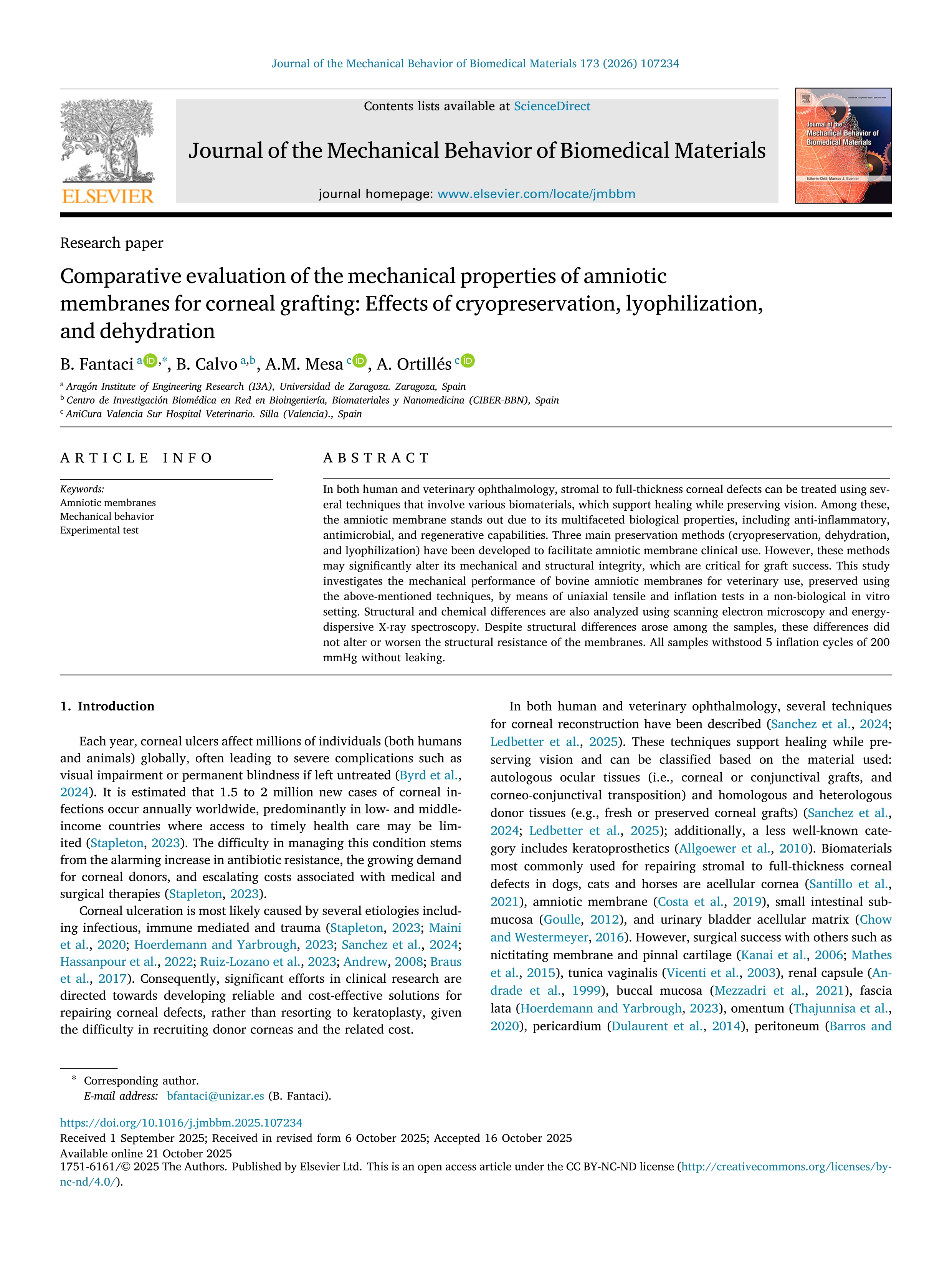 Comparative evaluation of the mechanical properties of amniotic membranes for corneal grafting: Effects of cryopreservation, lyophilization, and dehydration