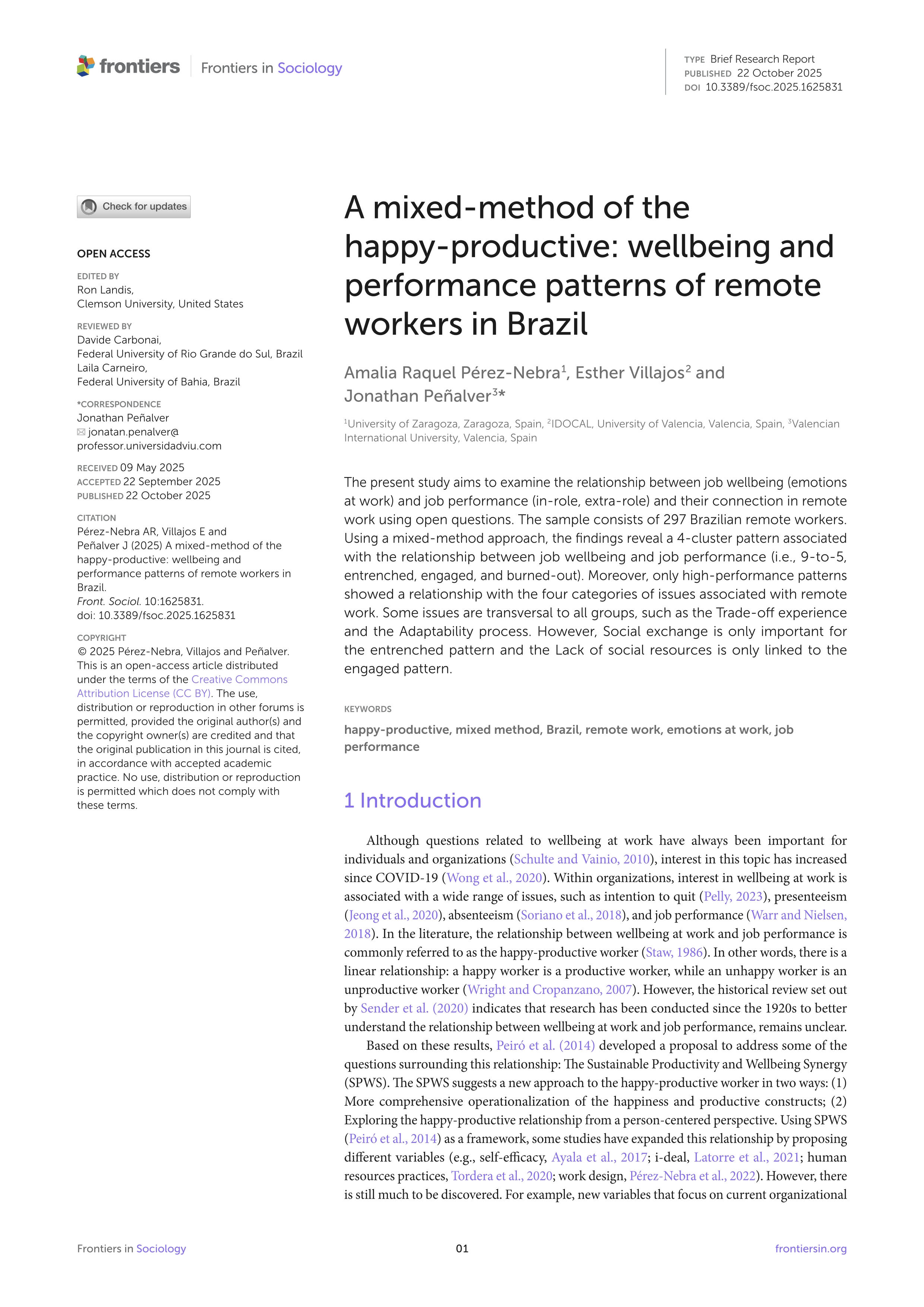 A mixed-method of the happy-productive: wellbeing and performance patterns of remote workers in Brazil