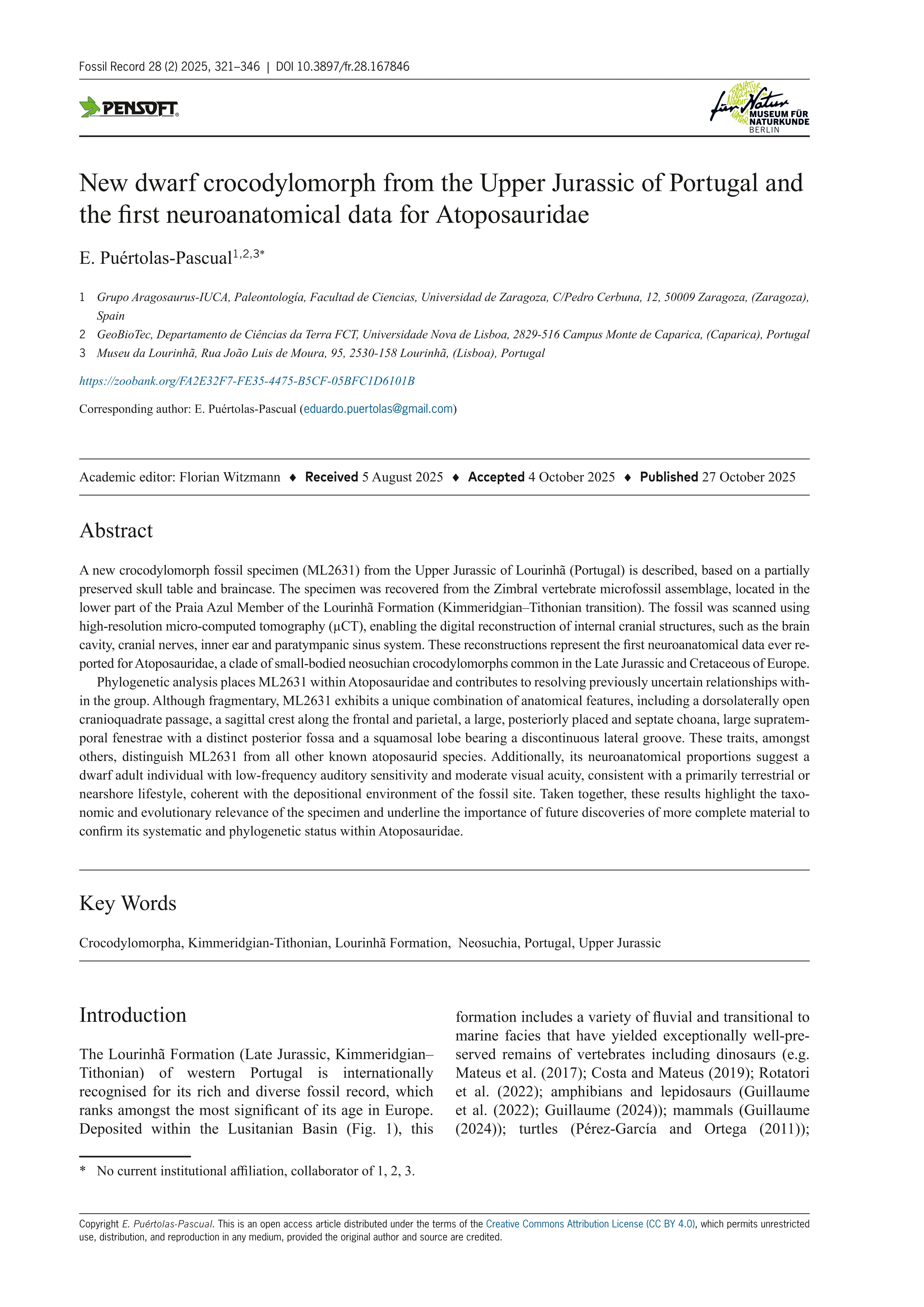 New dwarf crocodylomorph from the Upper Jurassic of Portugal and the first neuroanatomical data for Atoposauridae