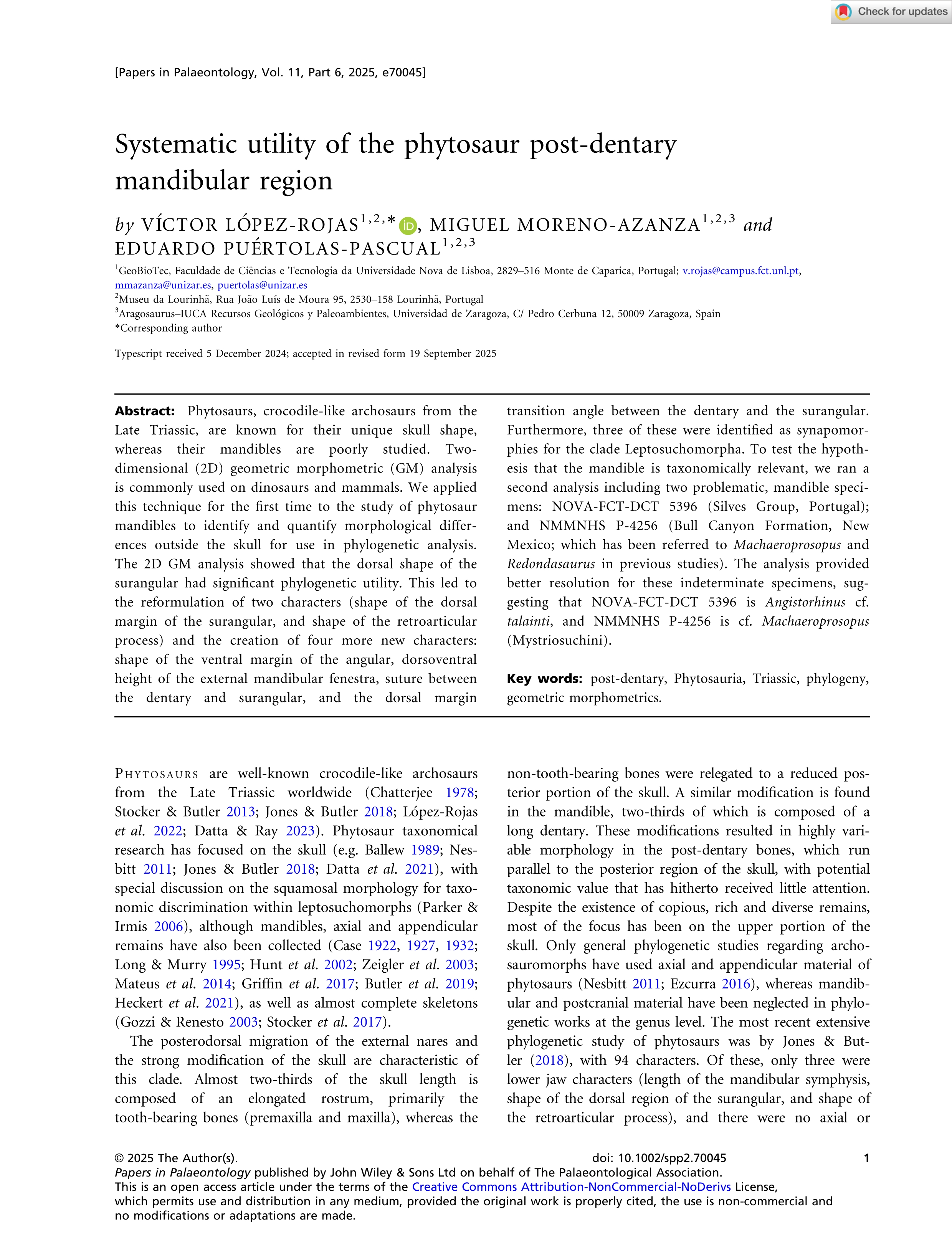 Systematic utility of the phytosaur post‐dentary mandibular region