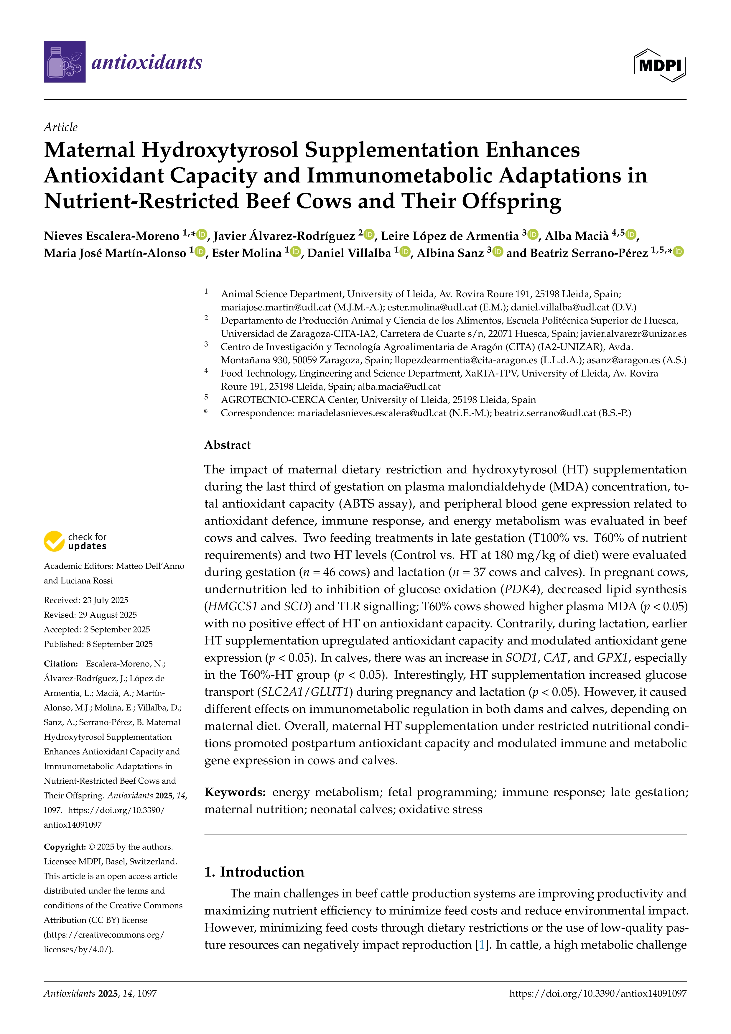 Maternal Hydroxytyrosol Supplementation Enhances Antioxidant Capacity and Immunometabolic Adaptations in Nutrient-Restricted Beef Cows and Their Offspring