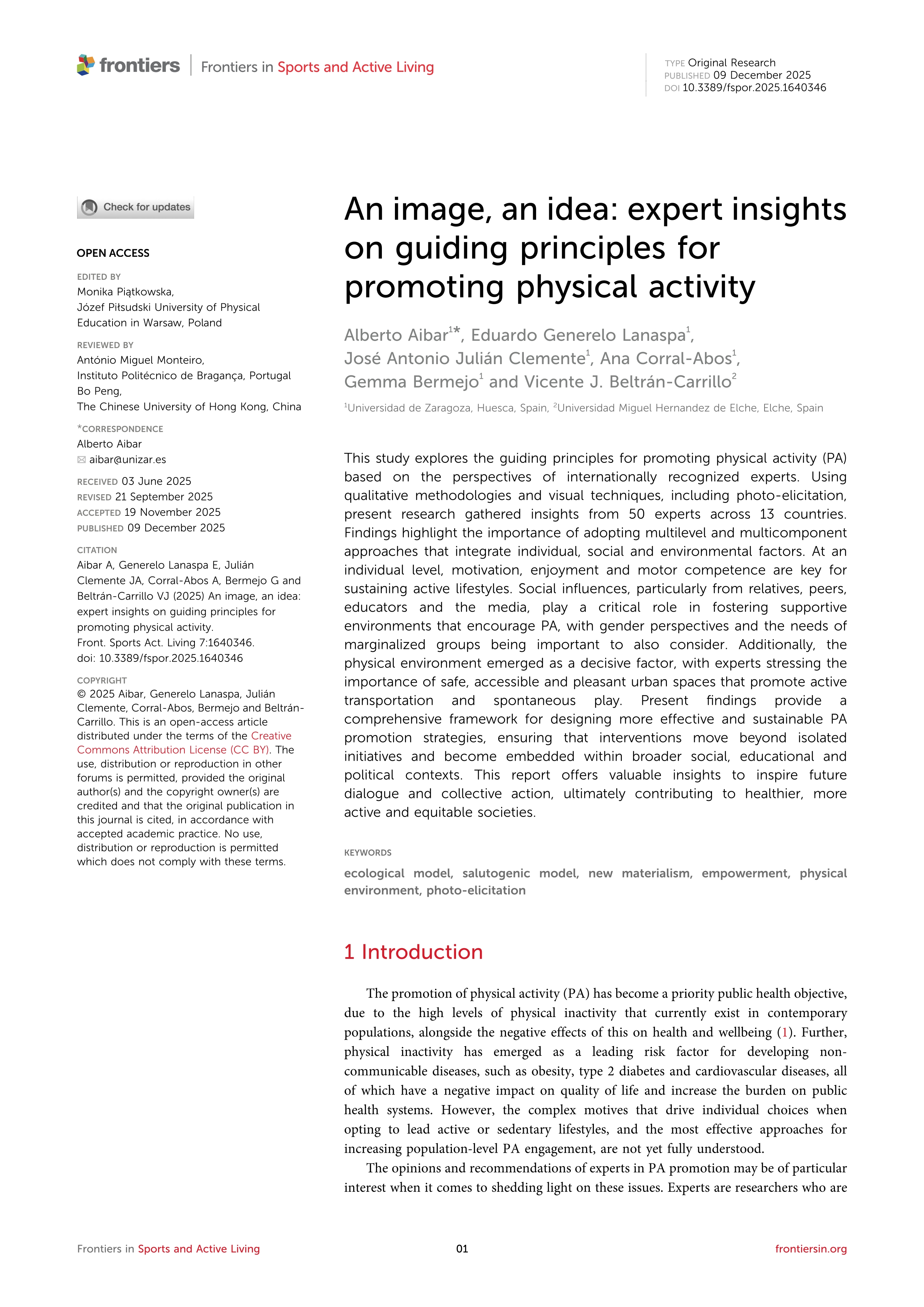 An image, an idea: expert insights on guiding principles for promoting physical activity