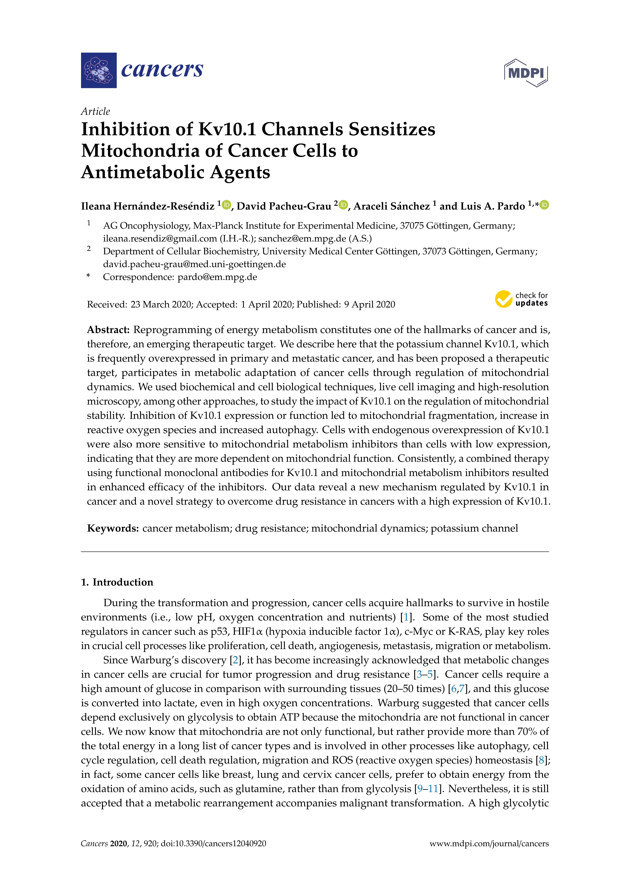 Inhibition of Kv10.1 Channels Sensitizes Mitochondria of Cancer Cells to Antimetabolic Agents