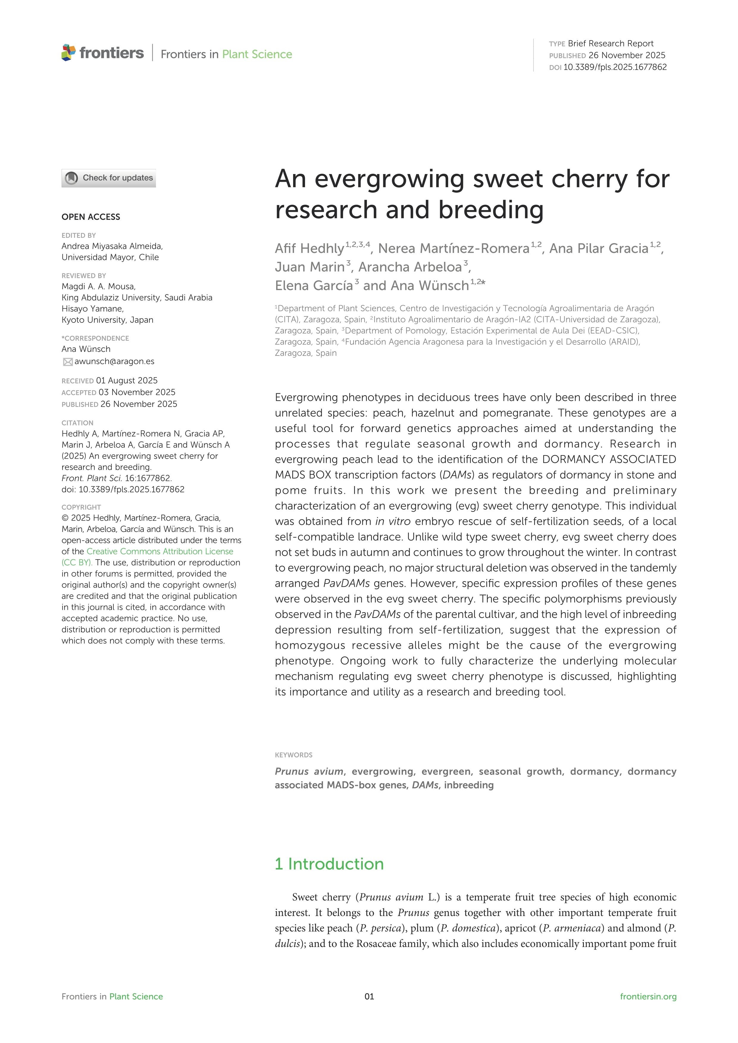 An evergrowing sweet cherry for research and breeding