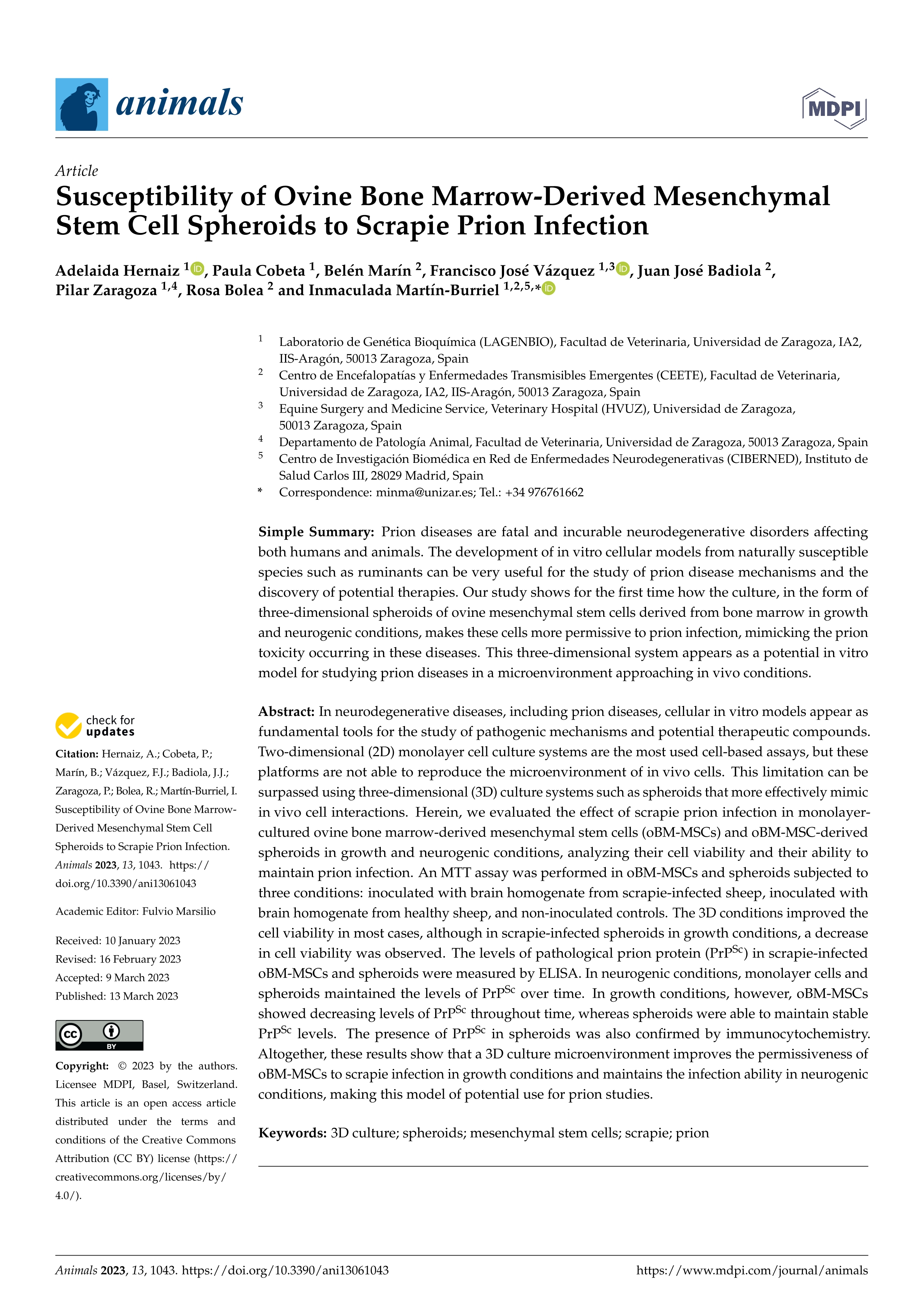 Susceptibility of ovine bone marrow-derived mesenchymal stem cell spheroids to scrapie prion infection
