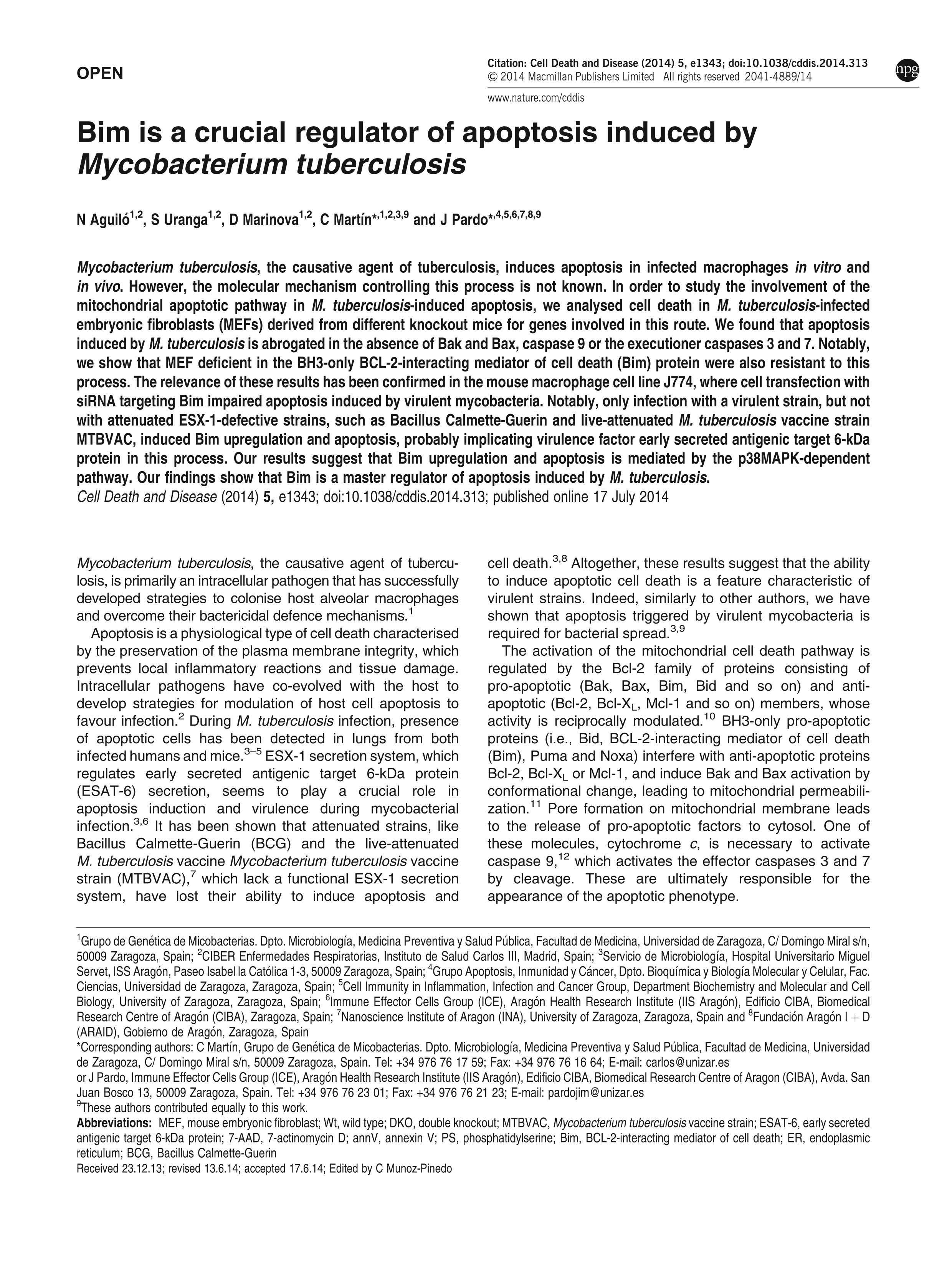 Bim is a crucial regulator of apoptosis induced by Mycobacterium tuberculosis