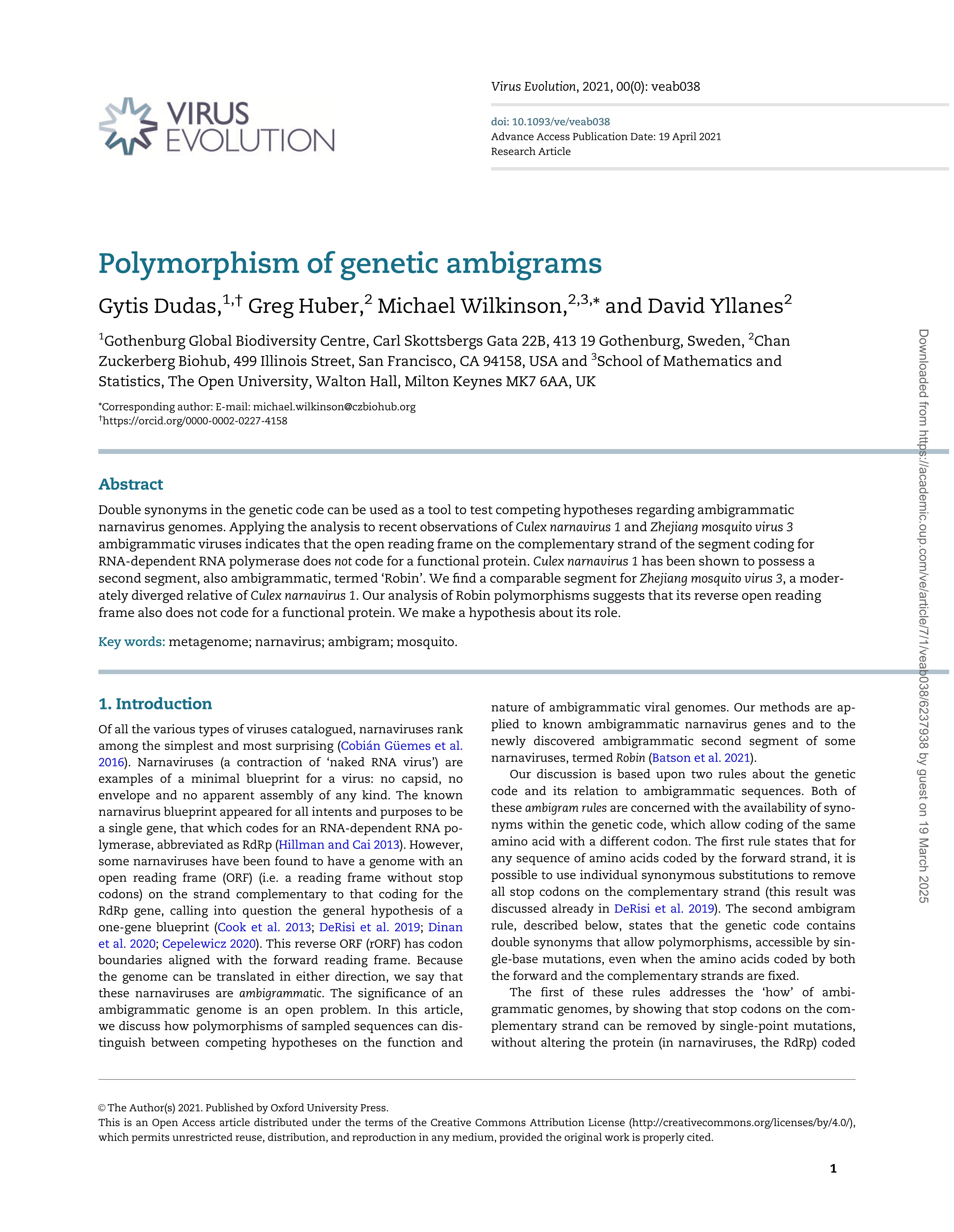 Polymorphism of genetic ambigrams