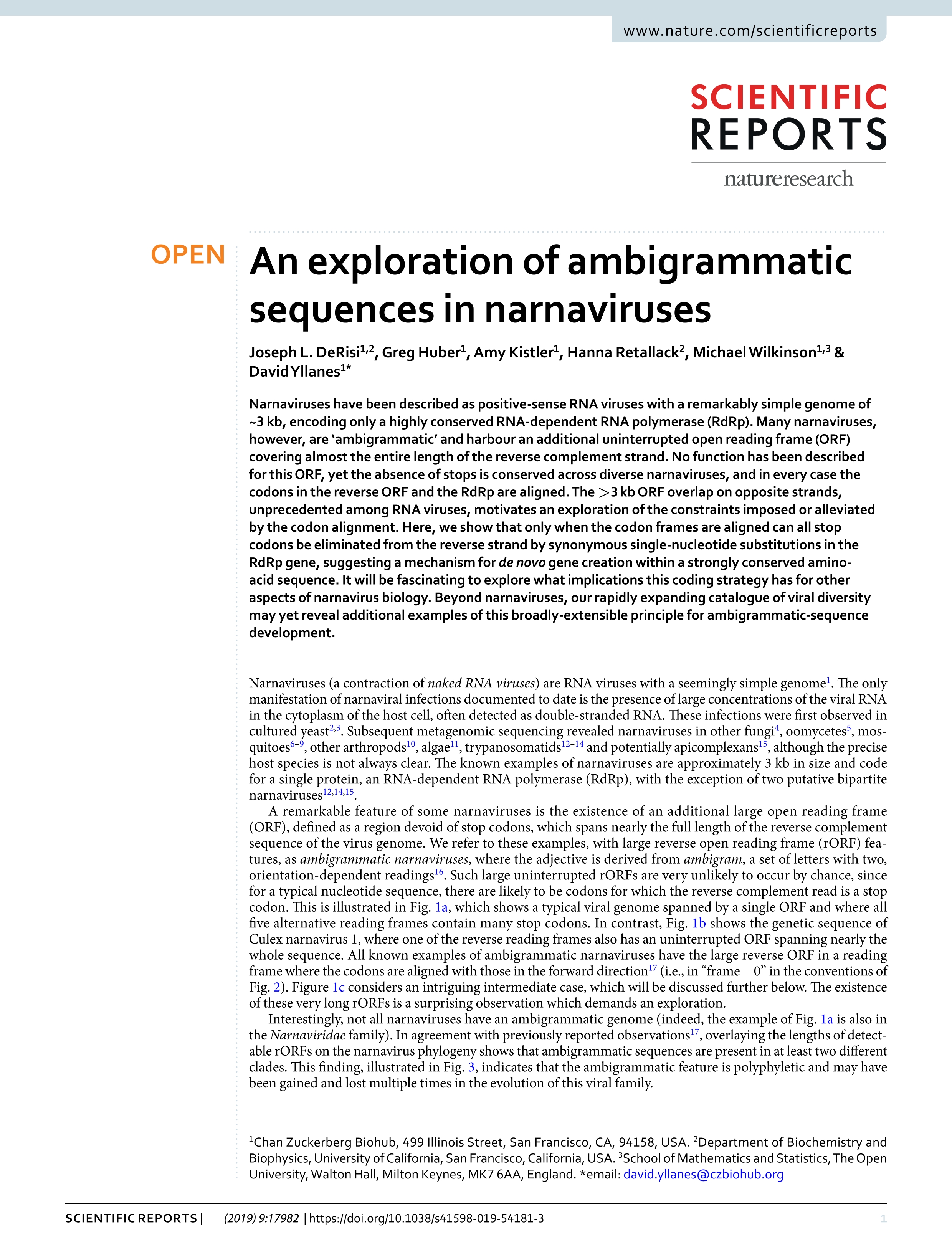 An exploration of ambigrammatic sequences in narnaviruses