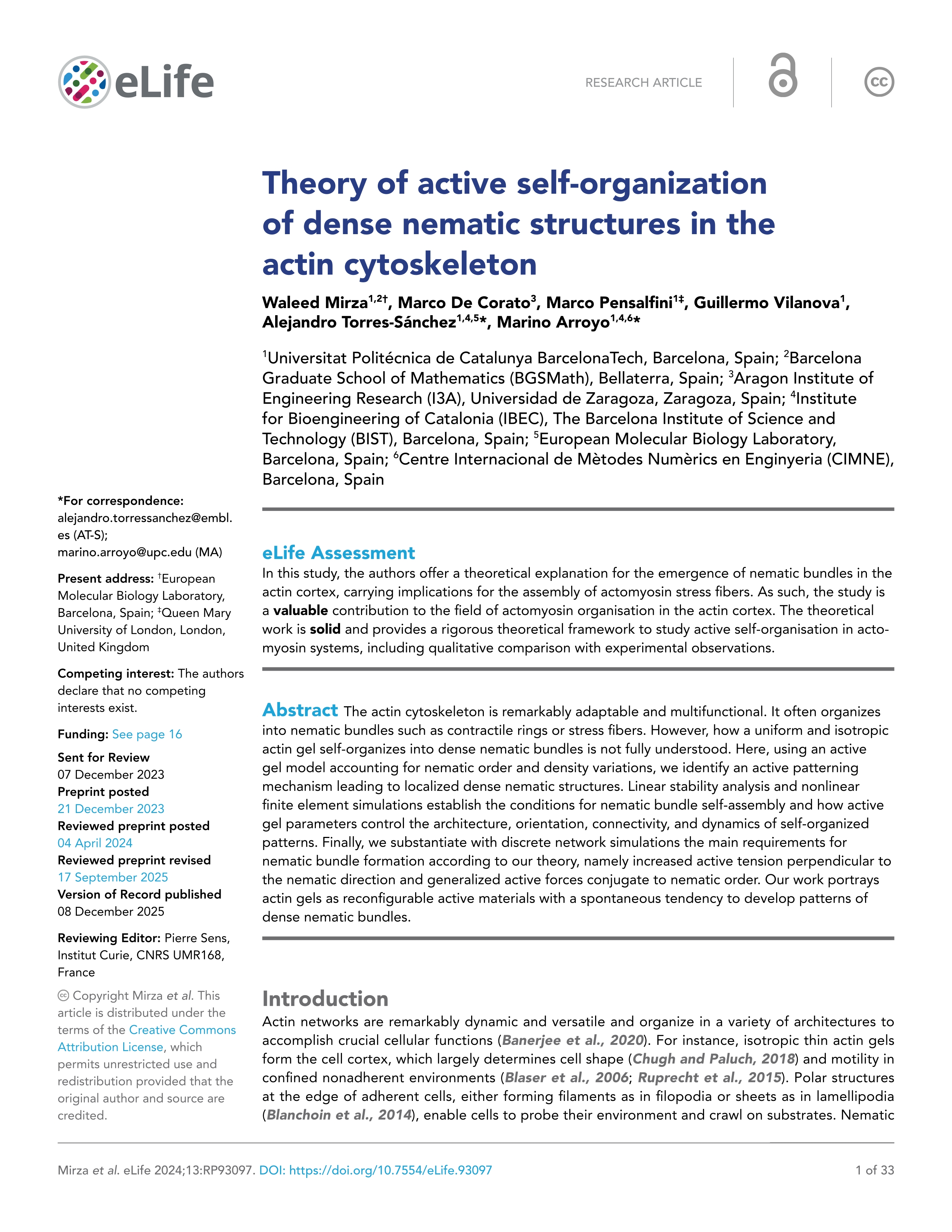 Theory of active self-organization of dense nematic structures in the actin cytoskeleton