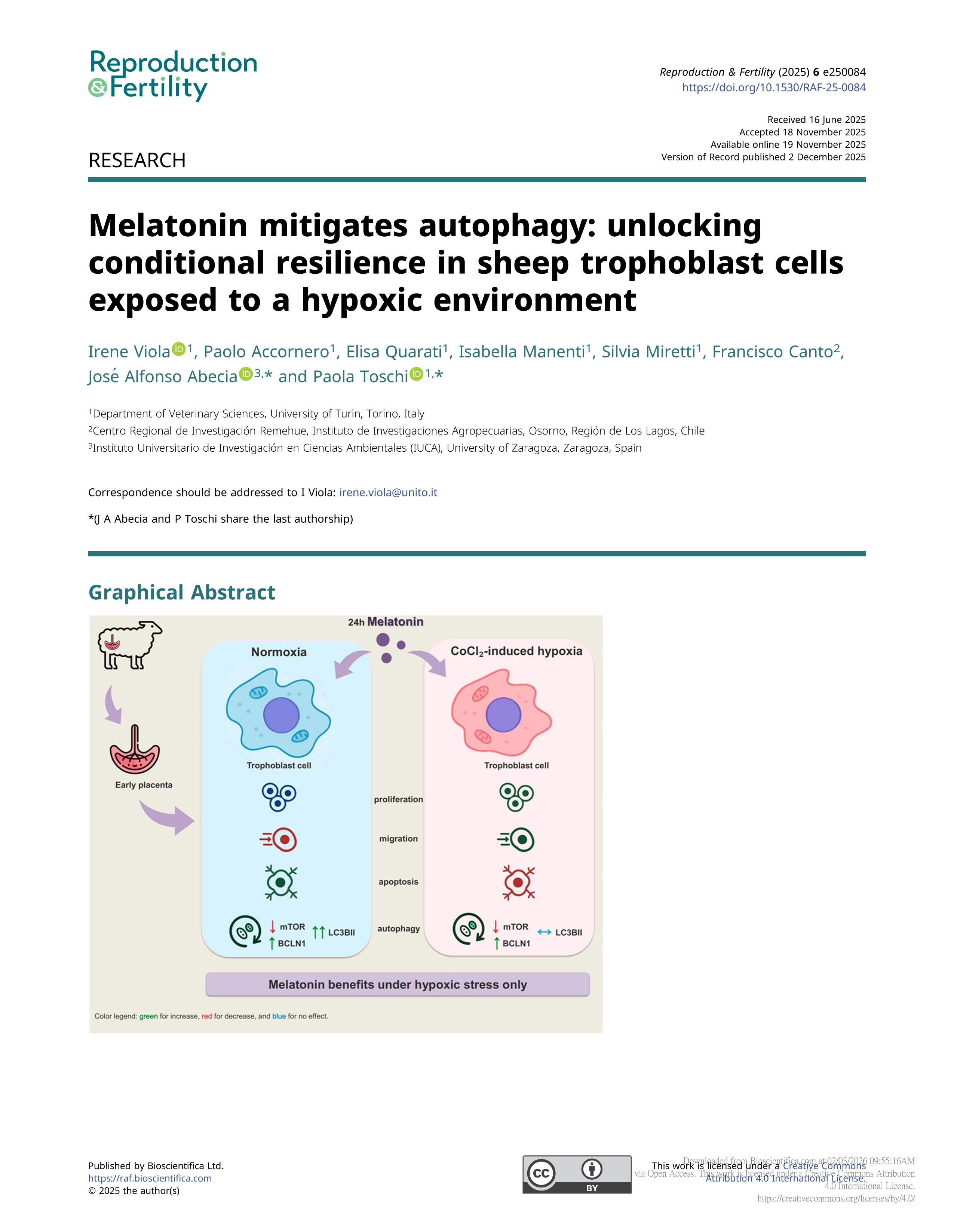 Melatonin mitigates autophagy: unlocking conditional resilience in sheep trophoblast cells exposed to a hypoxic environment