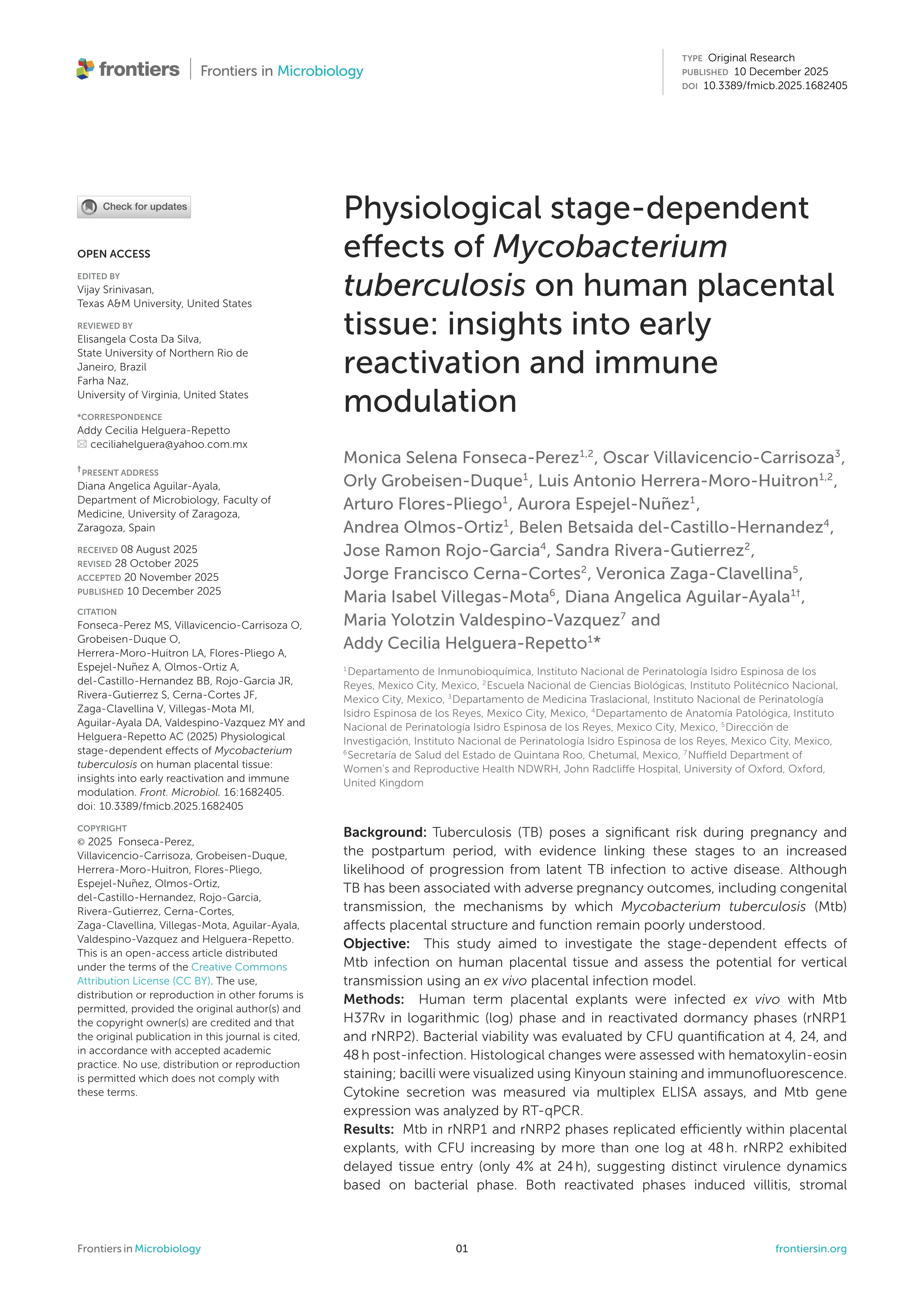 Physiological stage-dependent effects of Mycobacterium tuberculosis on human placental tissue: insights into early reactivation and immune modulation