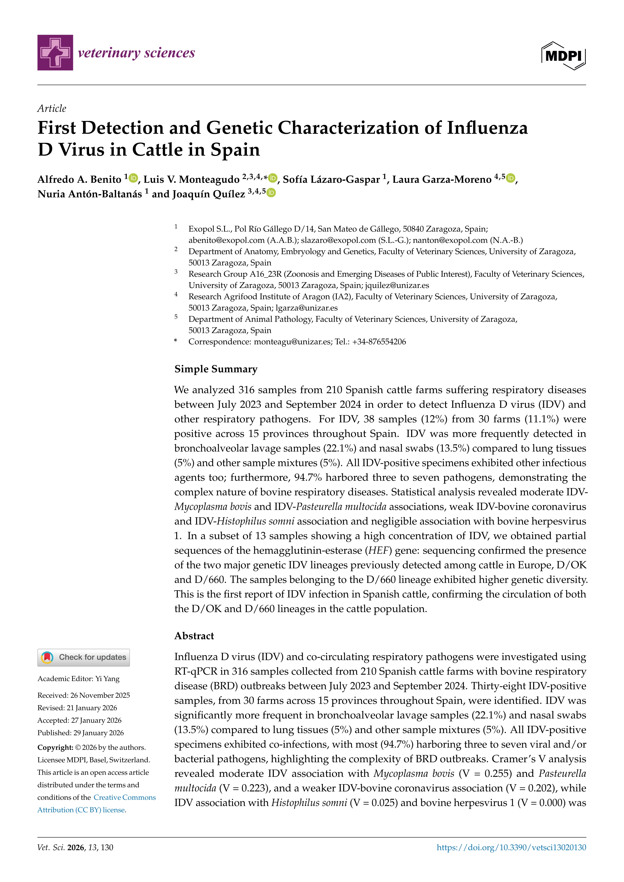 First Detection and Genetic Characterization of Influenza D Virus in Cattle in Spain