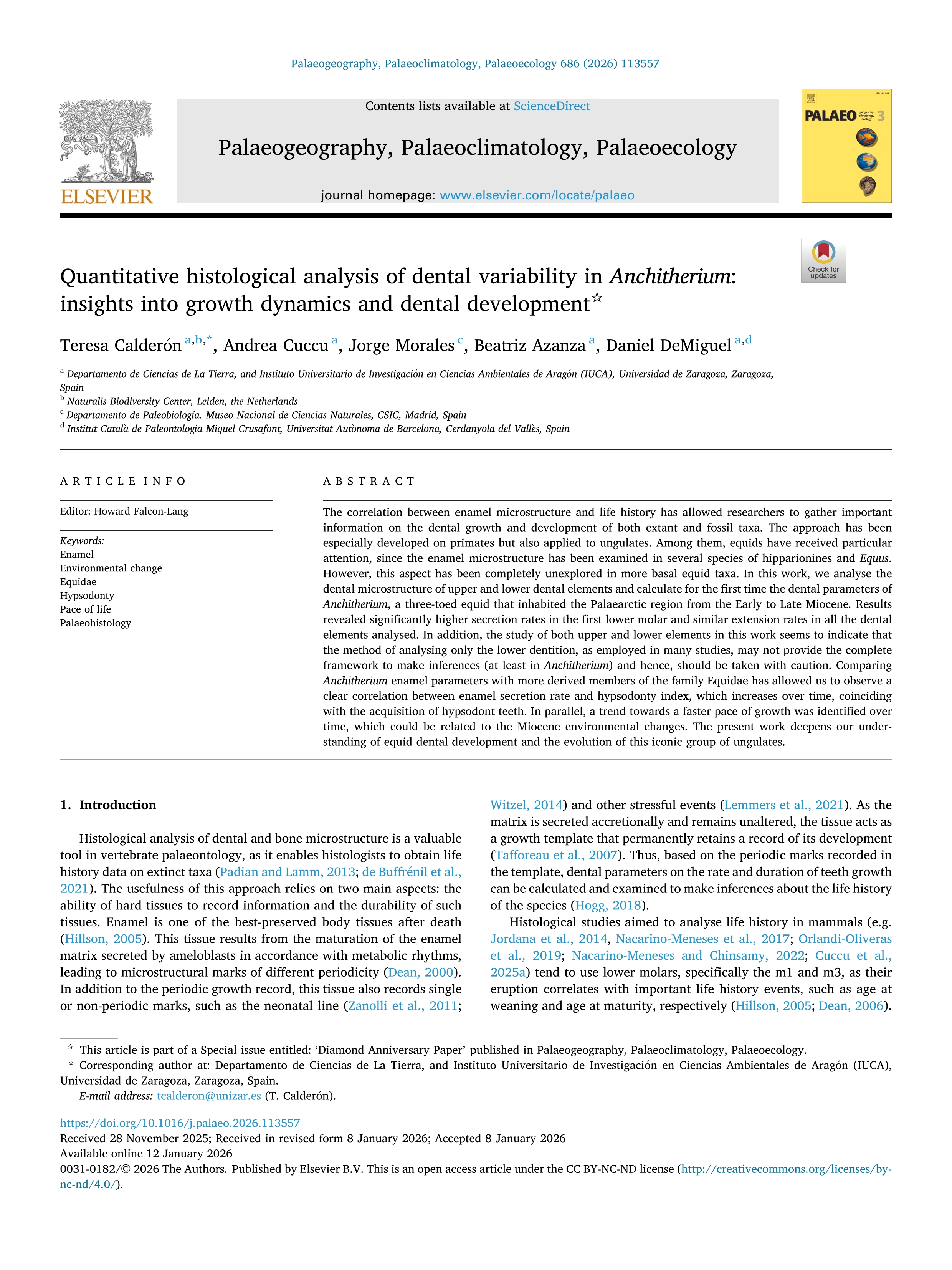 Quantitative histological analysis of dental variability in Anchitherium: insights into growth dynamics and dental development