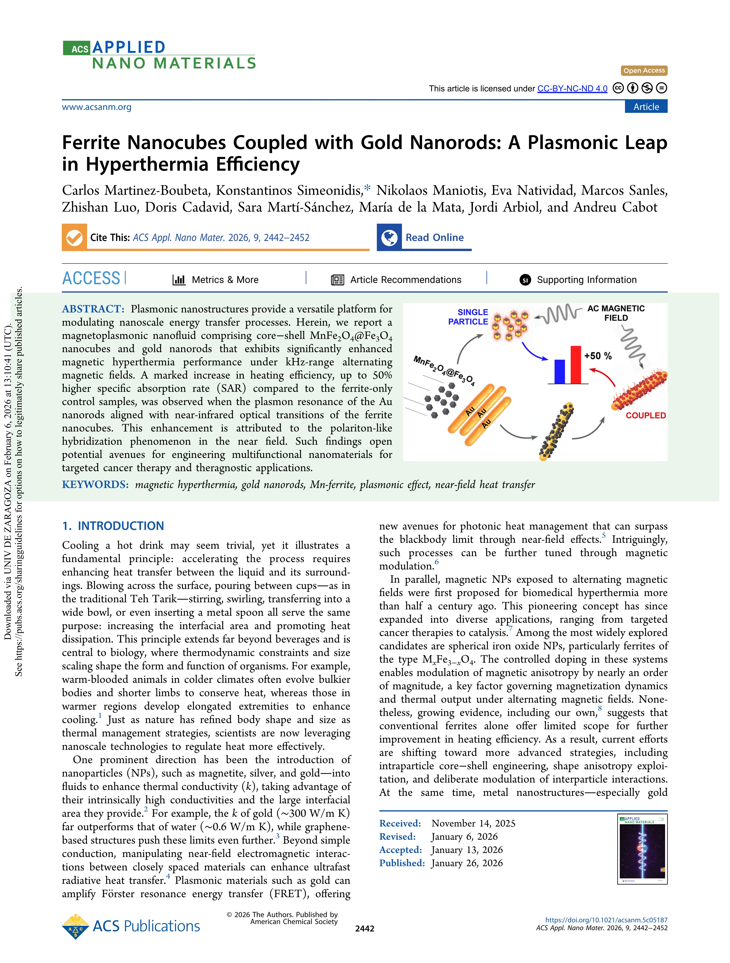 Ferrite Nanocubes Coupled with Gold Nanorods: A Plasmonic Leap in Hyperthermia Efficiency