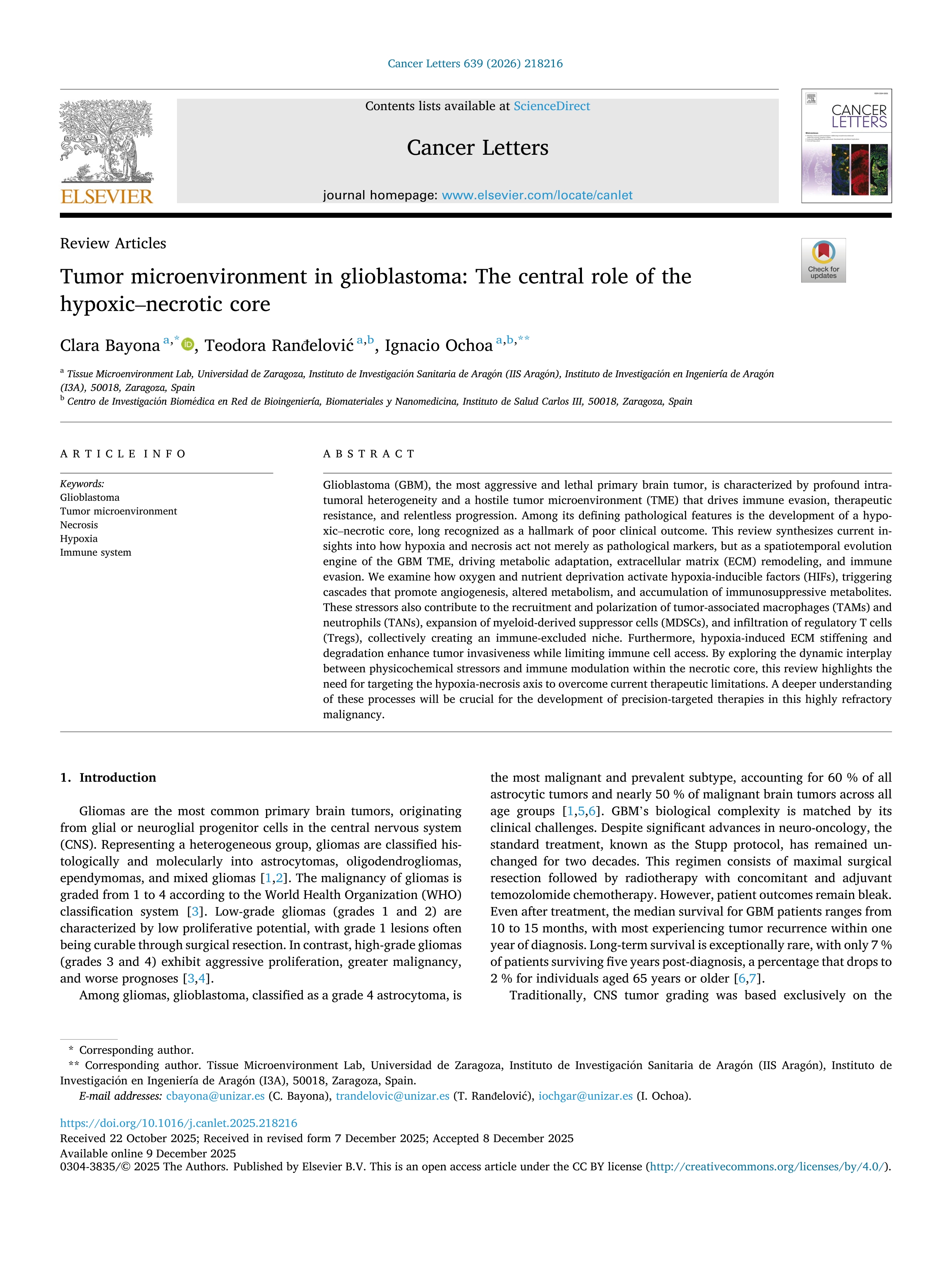 Tumor microenvironment in glioblastoma: The central role of the hypoxic–necrotic core