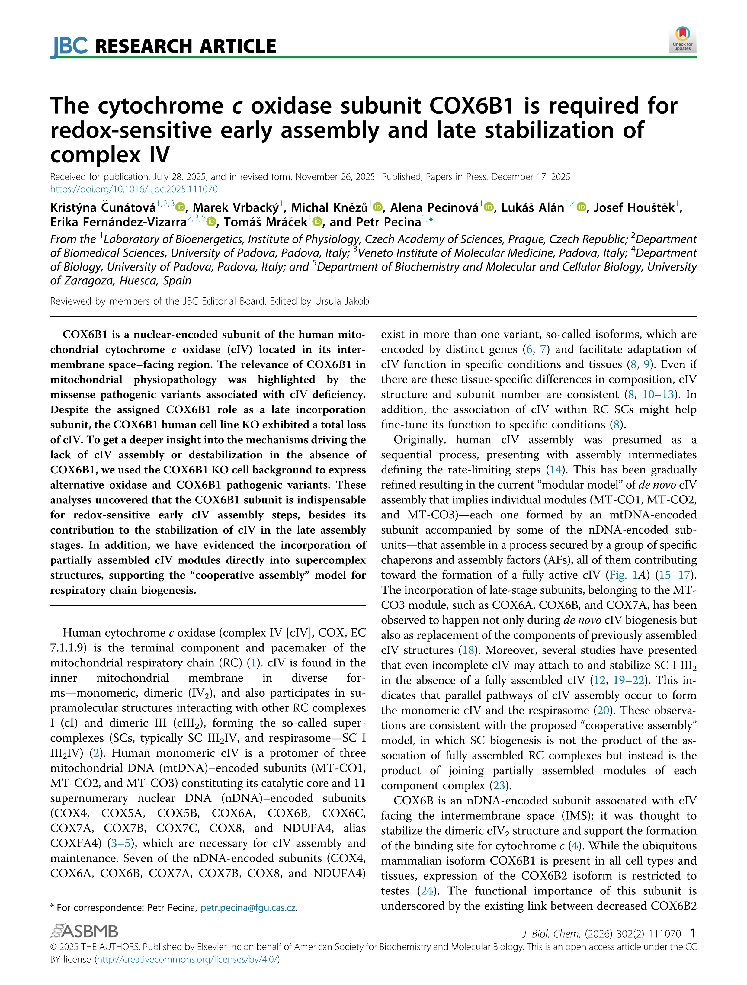 The cytochrome c oxidase subunit COX6B1 is required for redox-sensitive early assembly and late stabilization of complex IV