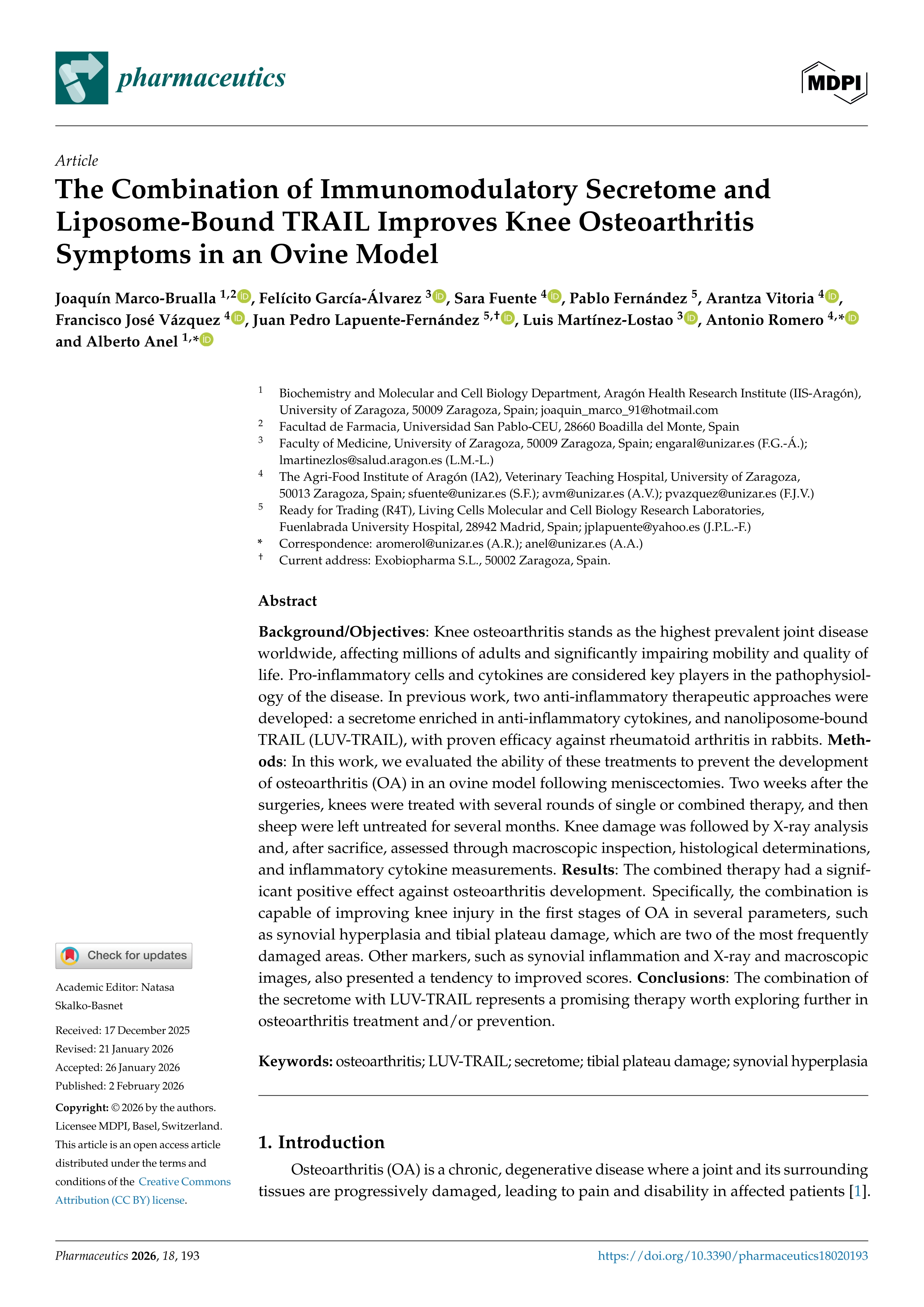 The Combination of Immunomodulatory Secretome and Liposome-Bound TRAIL Improves Knee Osteoarthritis Symptoms in an Ovine Model