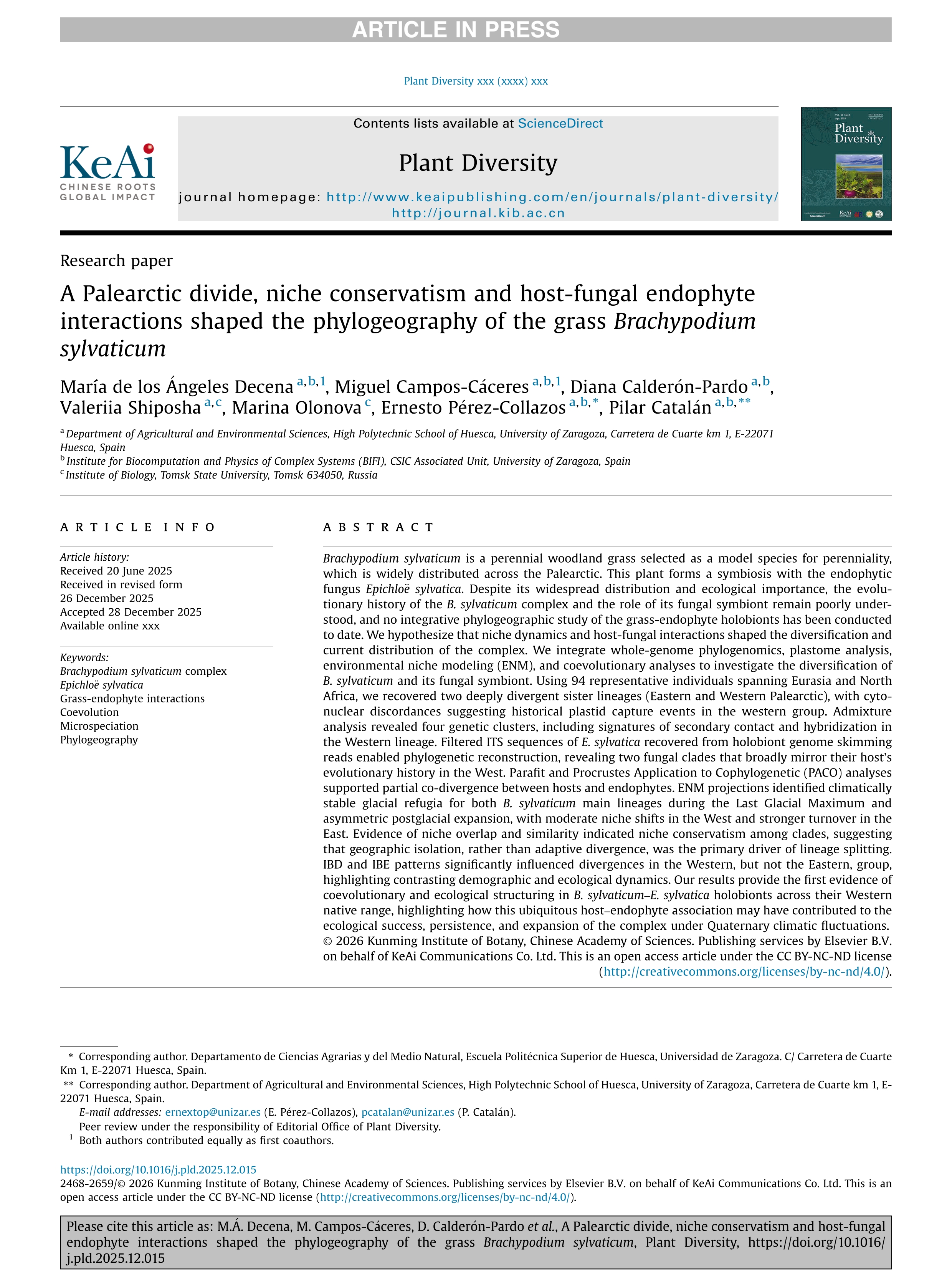 A Palearctic divide, niche conservatism and host-fungal endophyte interactions shaped the phylogeography of the grass Brachypodium sylvaticum