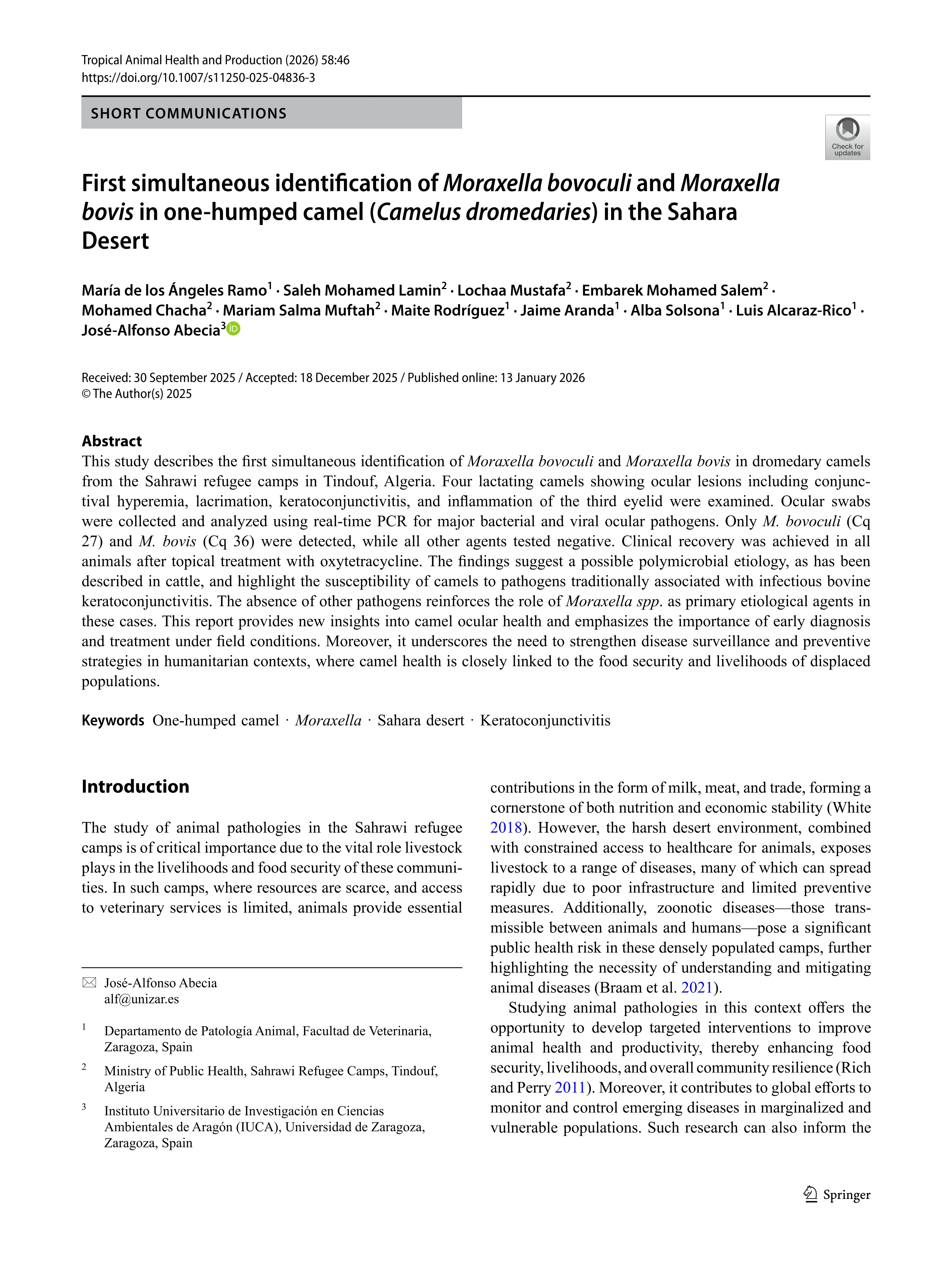First simultaneous identification of Moraxella bovoculi and Moraxella bovis in one-humped camel (Camelus dromedaries) in the Sahara Desert