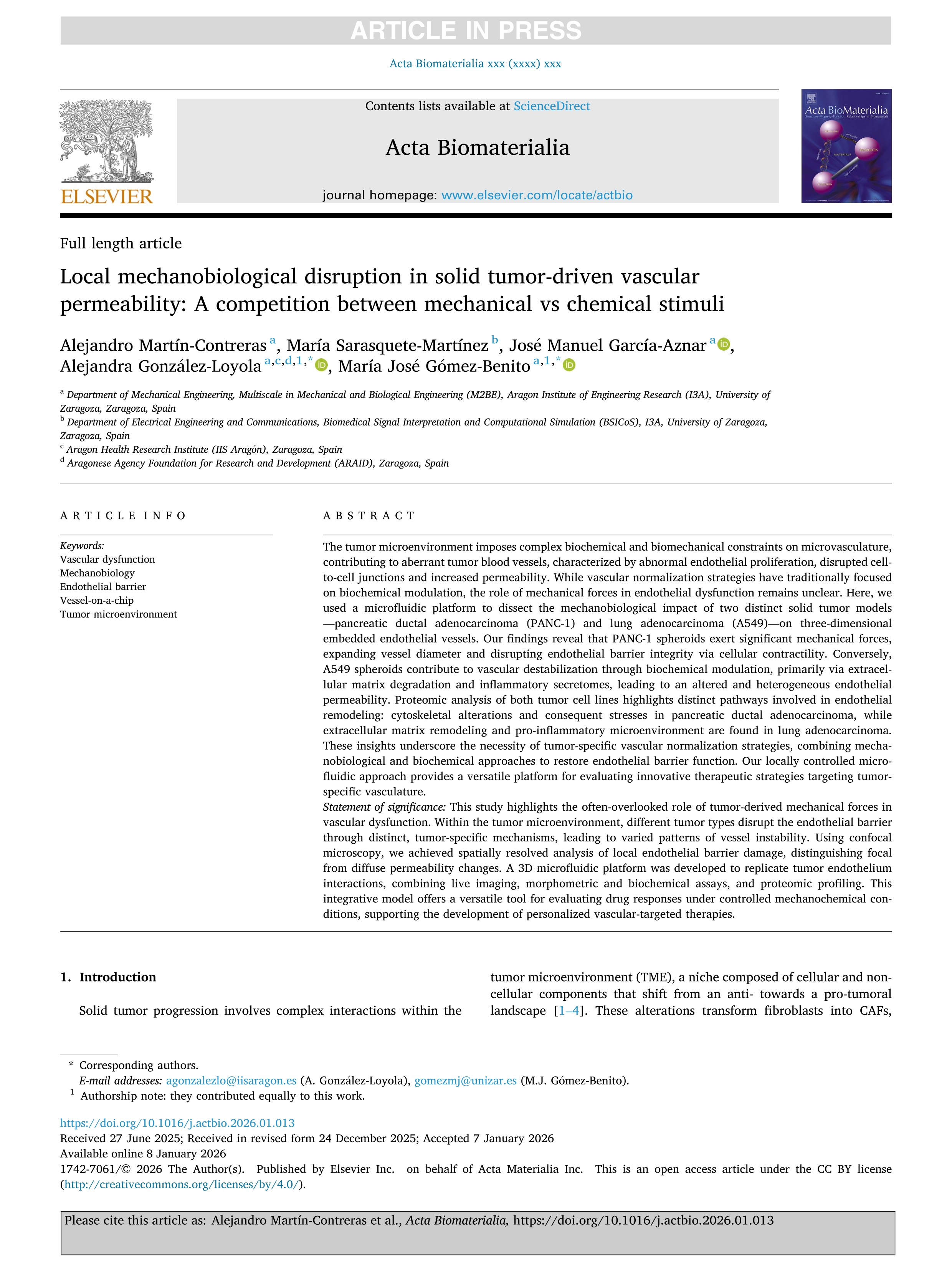 Local mechanobiological disruption in solid tumor-driven vascular permeability: A competition between mechanical vs chemical stimuli