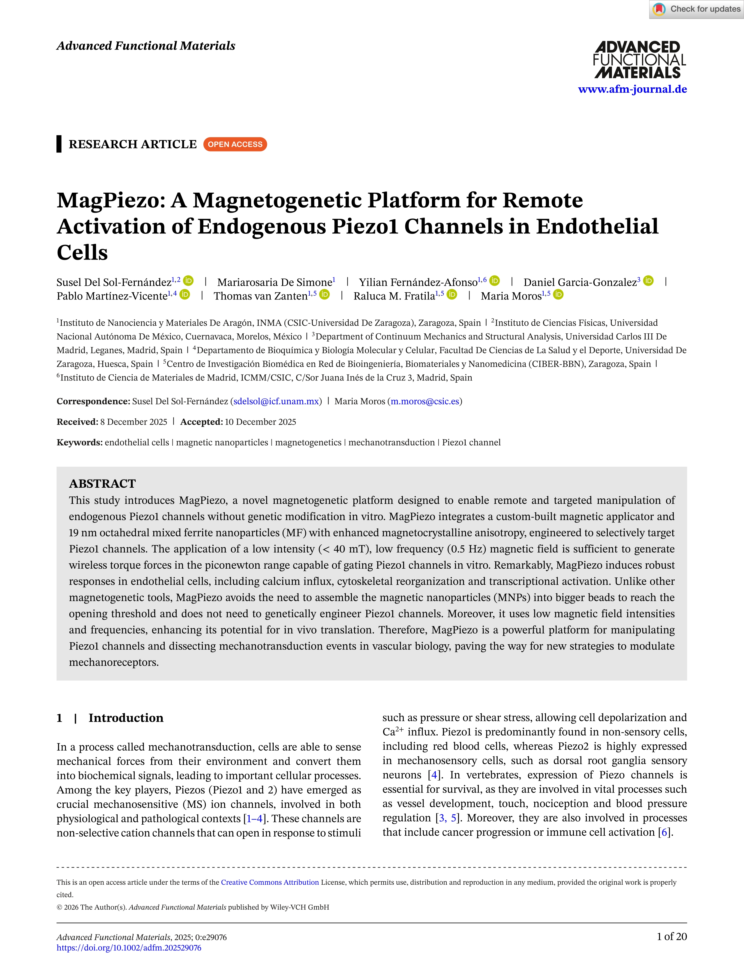 MagPiezo: A Magnetogenetic Platform for Remote Activation of Endogenous Piezo1 Channels in Endothelial Cells