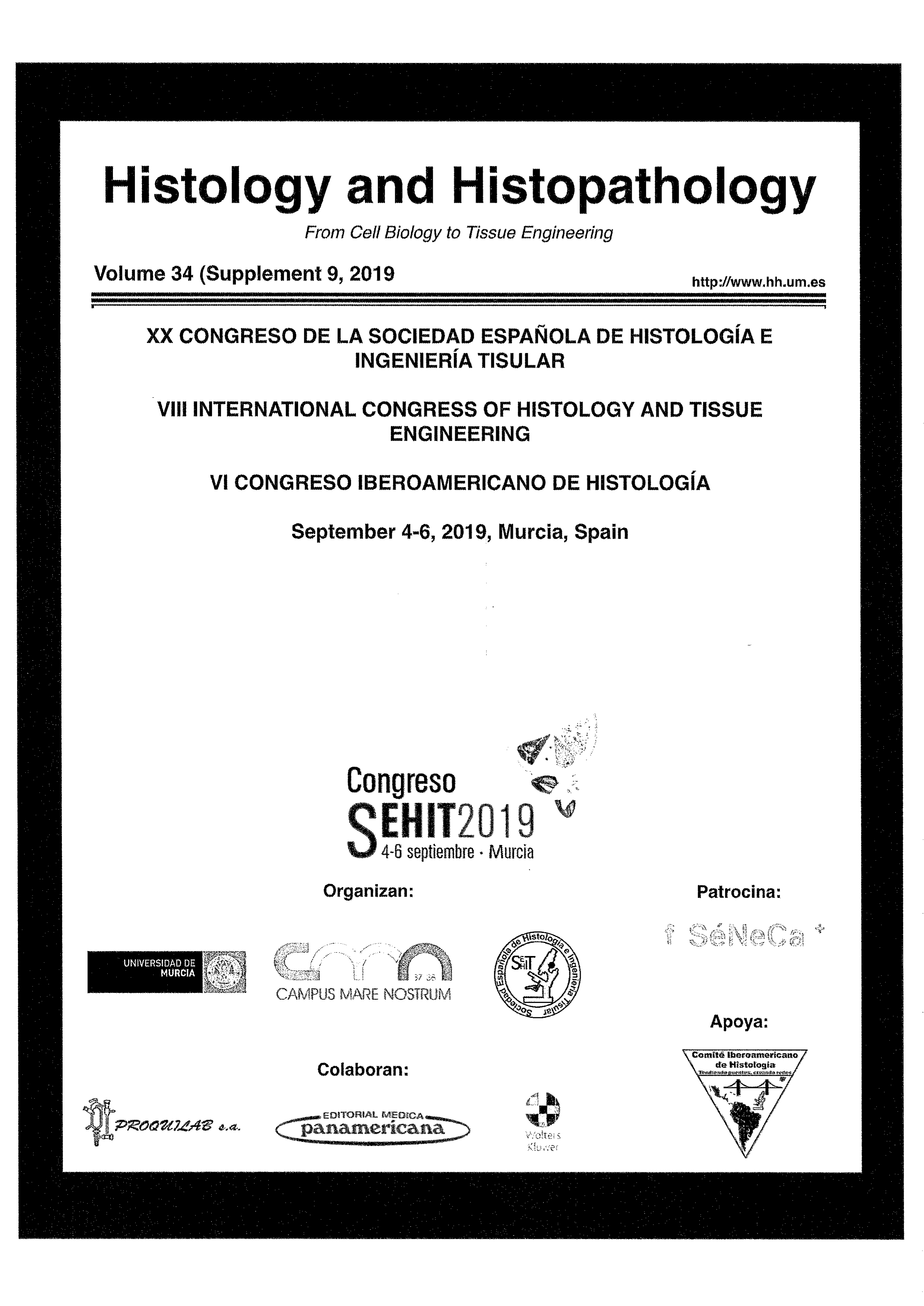 Ultrastructural study of pig liver regeneration following ablation with irreversible electroporation