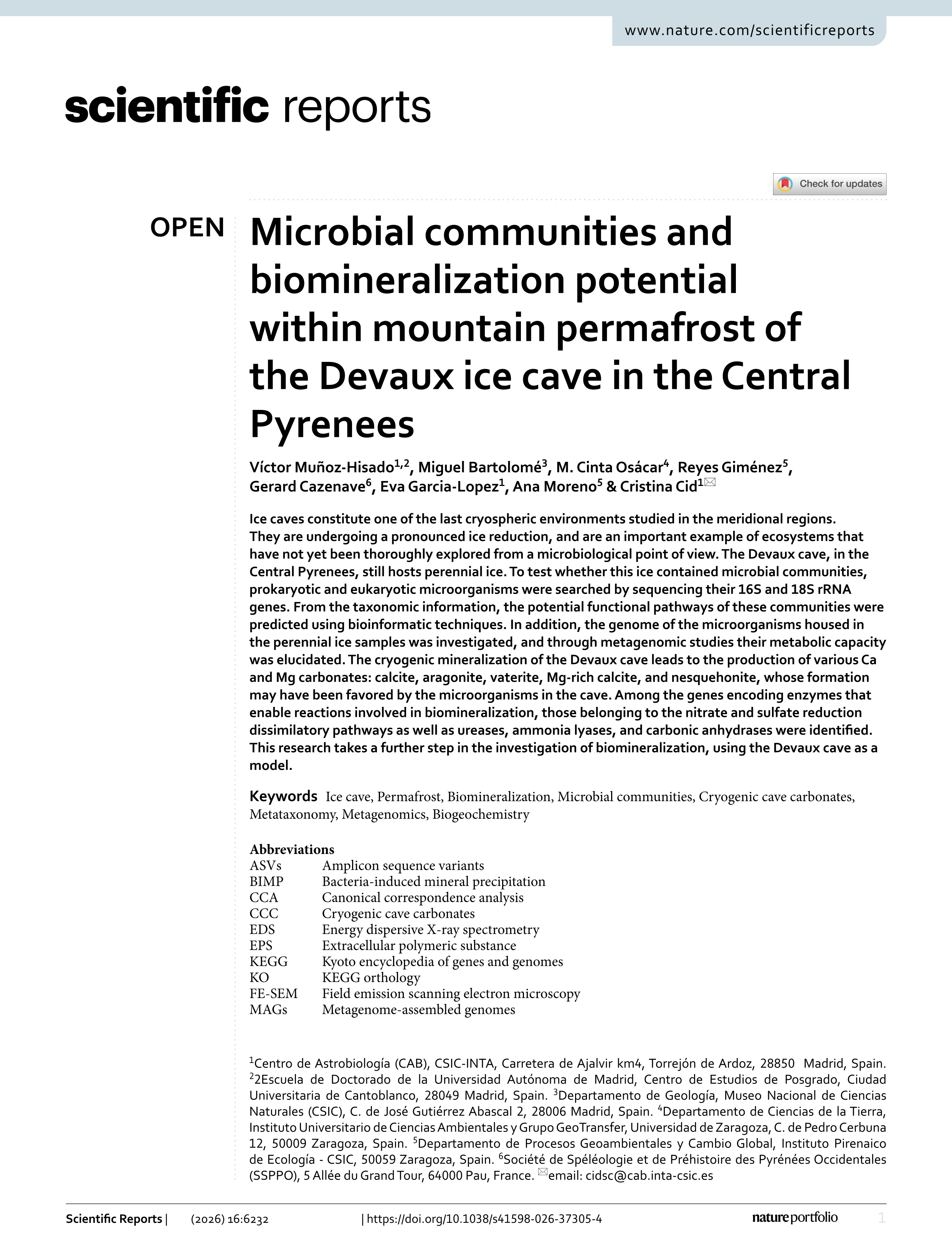 Microbial communities and biomineralization potential within mountain permafrost of the Devaux ice cave in the Central Pyrenees