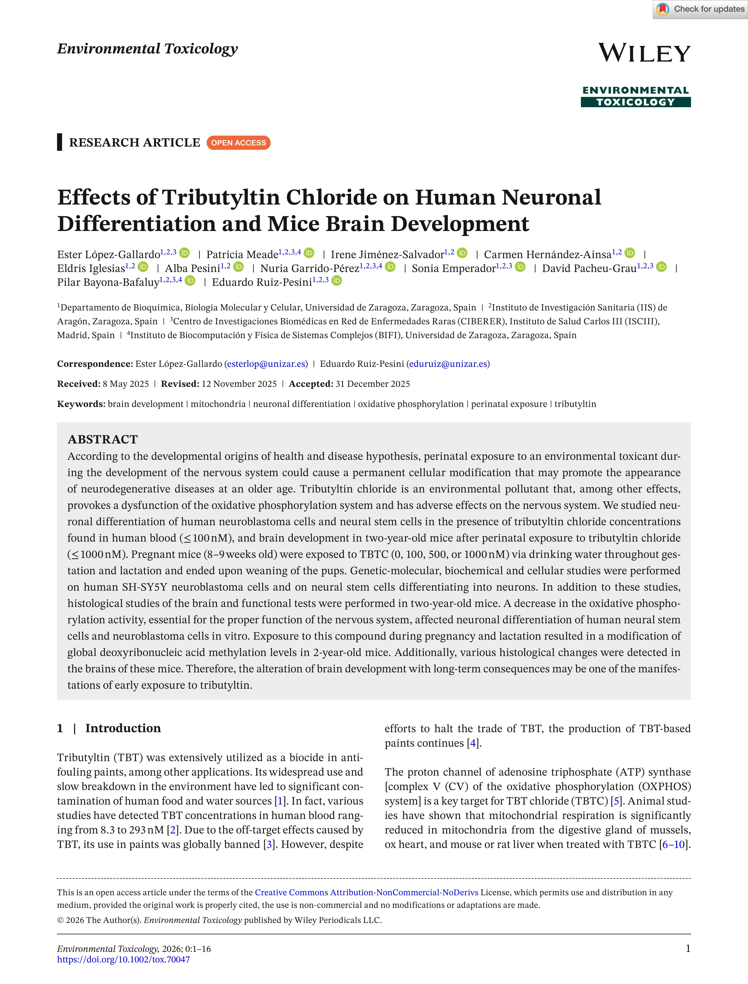 Effects of Tributyltin Chloride on Human Neuronal Differentiation and Mice Brain Development