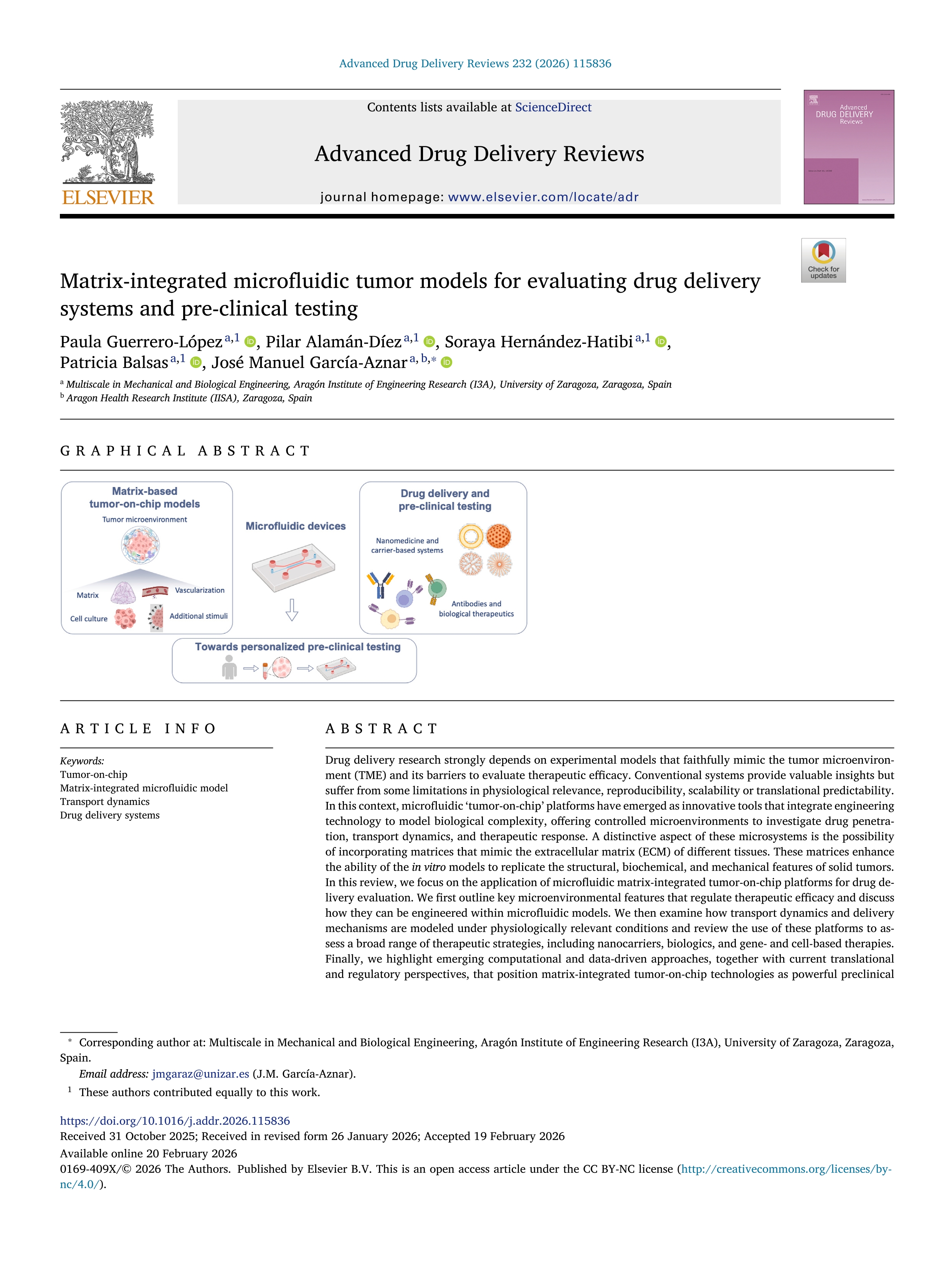 Matrix-integrated microfluidic tumor models for evaluating drug delivery systems and pre-clinical testing