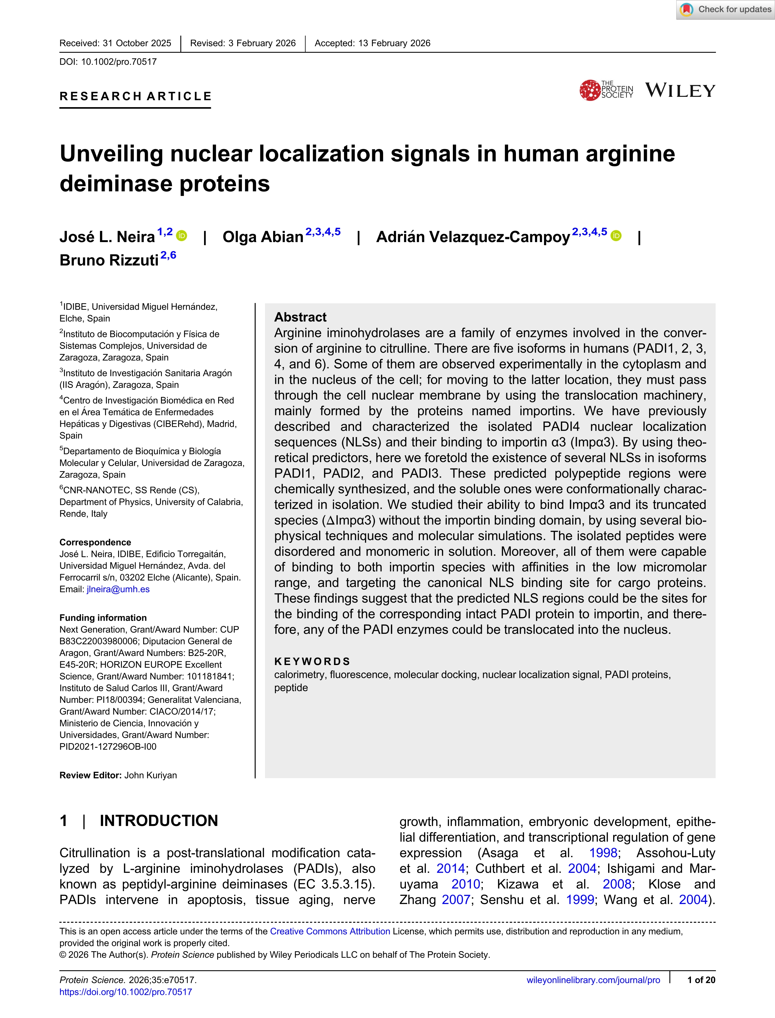 Unveiling nuclear localization signals in human arginine deiminase proteins
