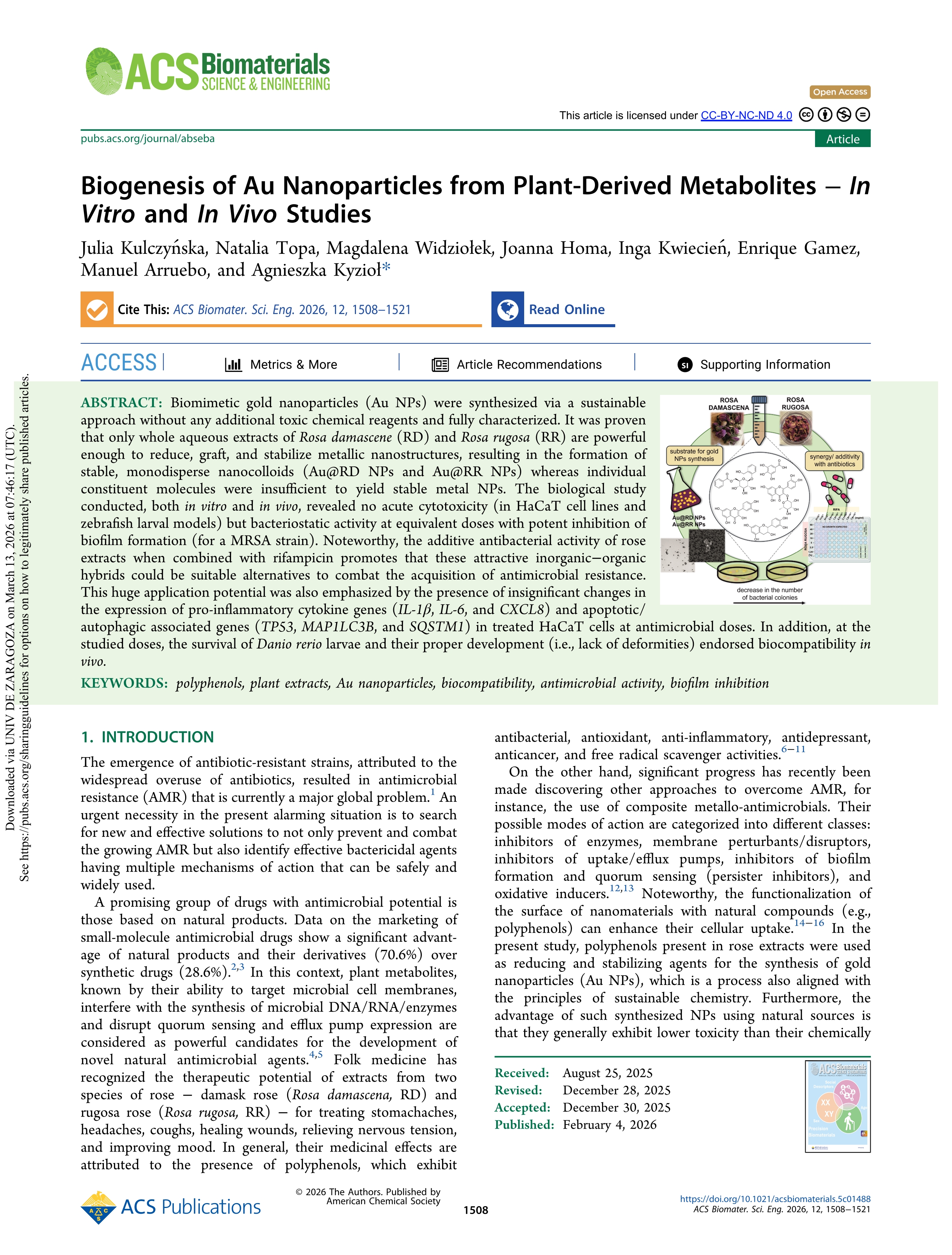 Biogenesis of Au Nanoparticles from Plant-Derived Metabolites – In Vitro and In Vivo StudiesClick to copy article link