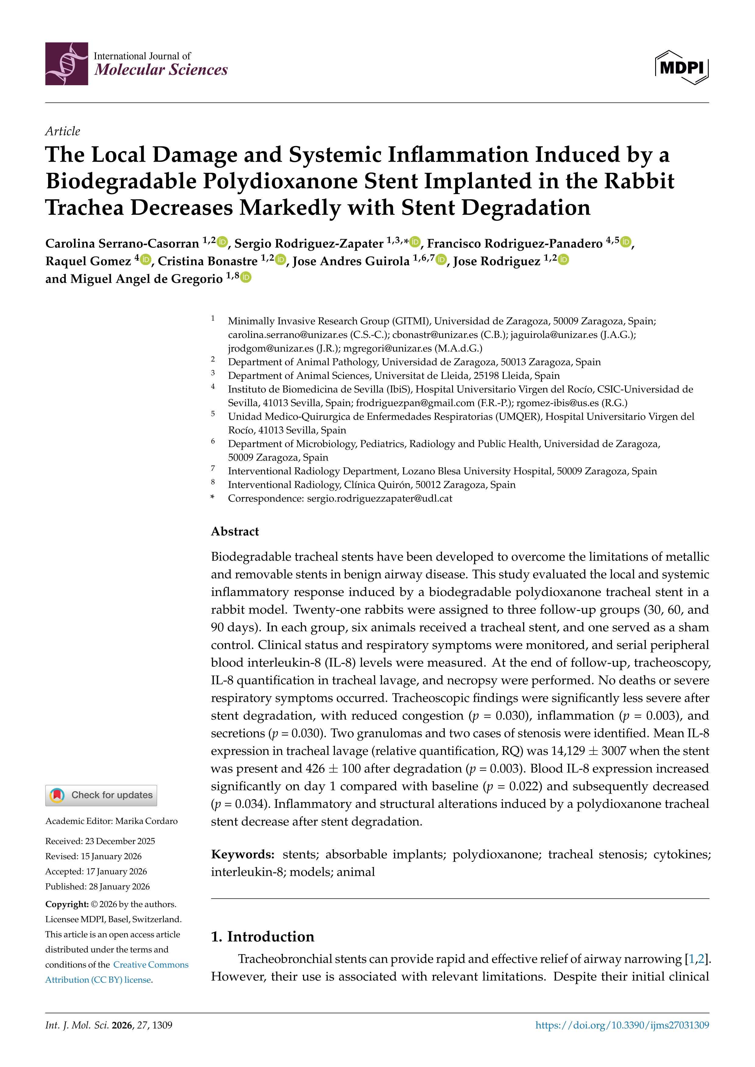 The local damage and systemic inflammation induced by a biodegradable polydioxanone Stent implanted in the rabbit trachea decreases markedly with Stent degradation