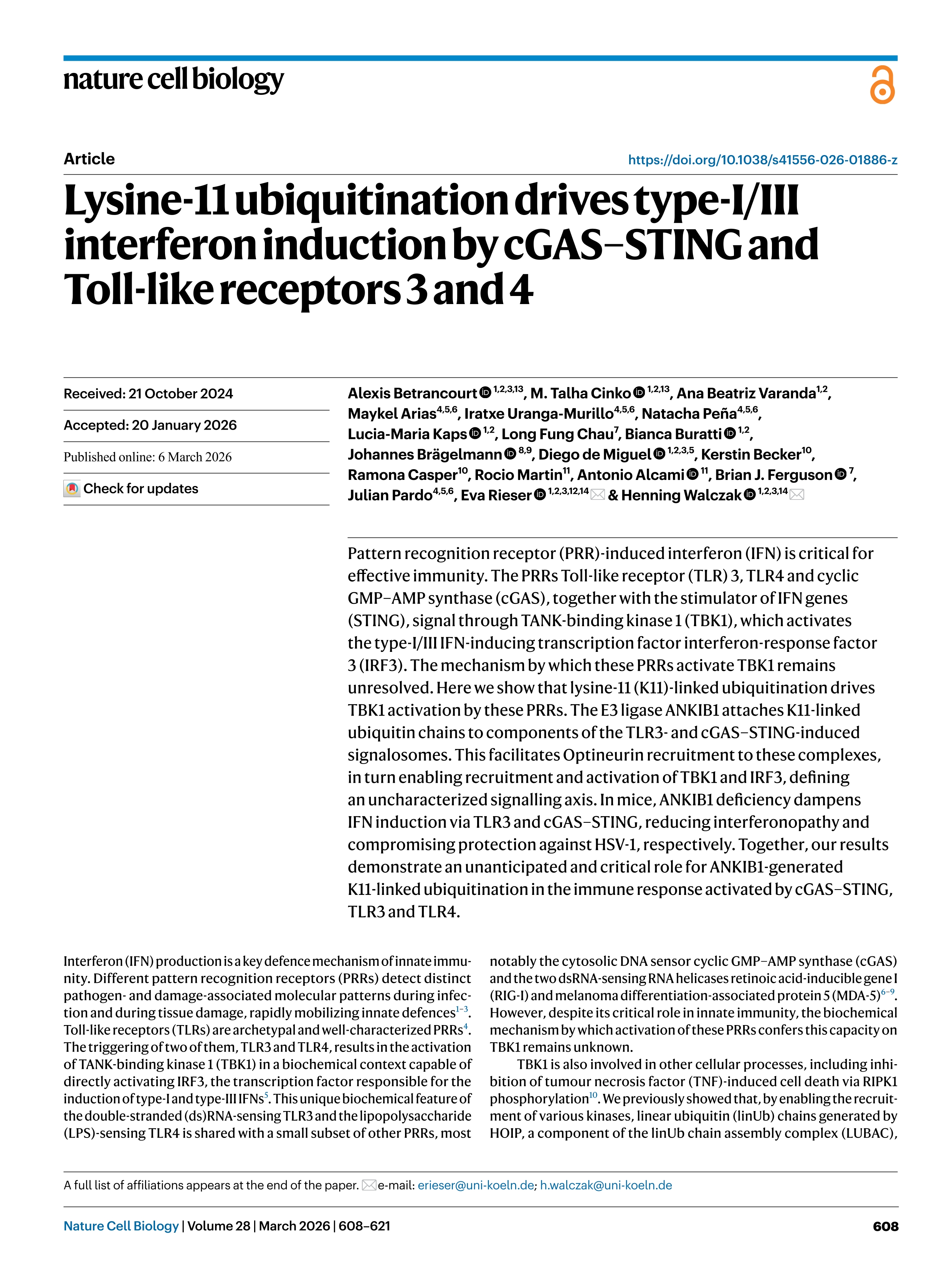 Lysine-11 ubiquitination drives type-I/III interferon induction by cGAS–STING and Toll-like receptors 3 and 4