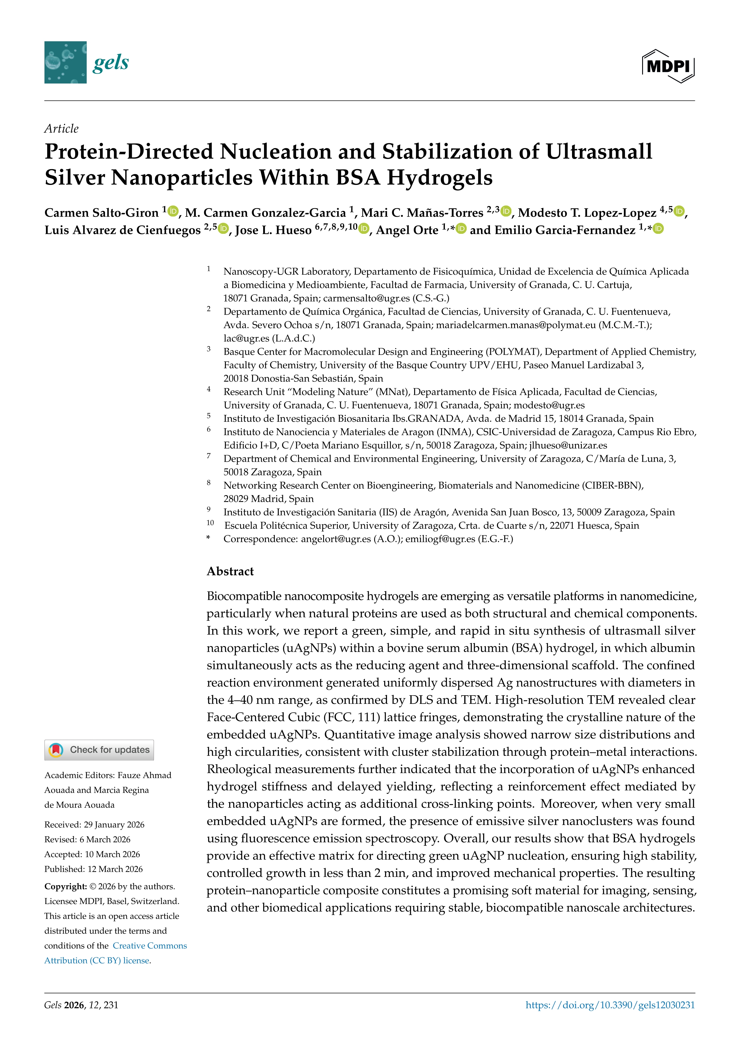 Protein-directed nucleation and stabilization of ultrasmall silver nanoparticles within BSA hydrogels