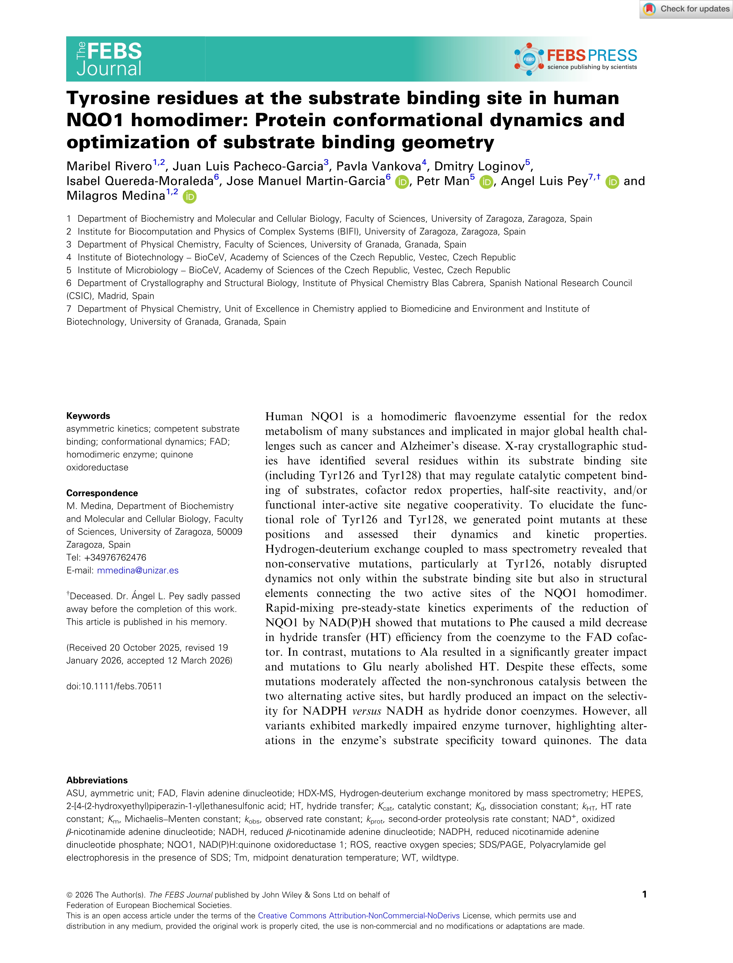 Tyrosine residues at the substrate binding site in human NQO1 homodimer: Protein conformational dynamics and optimization of substrate binding geometry