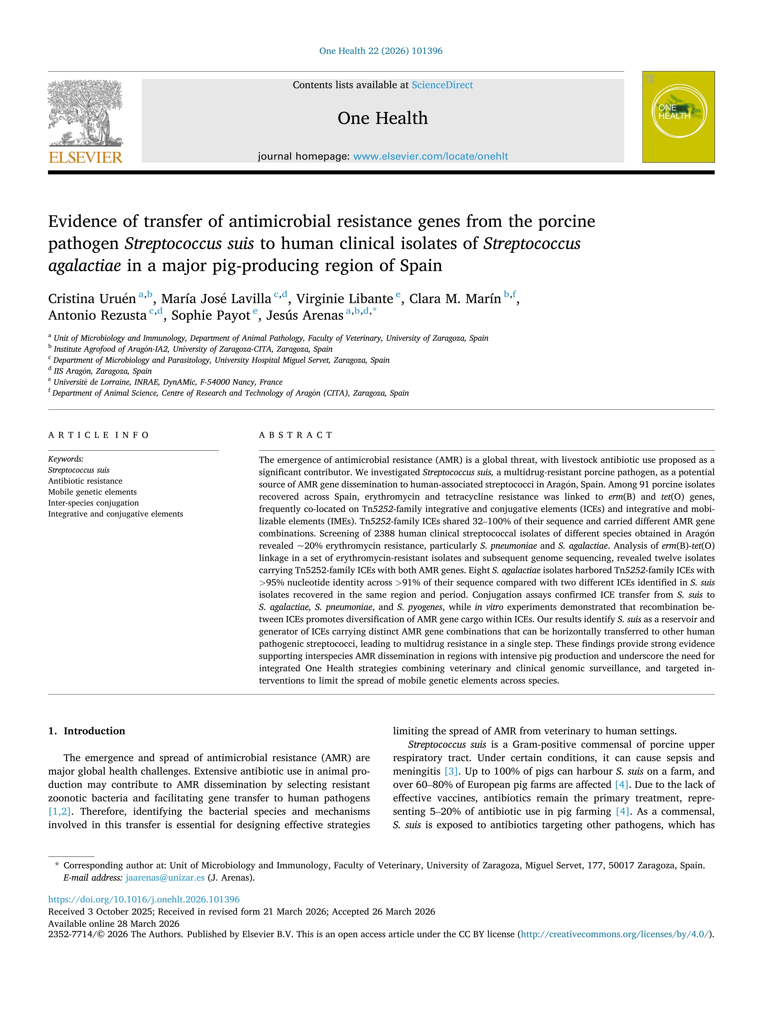 Evidence of transfer of antimicrobial resistance genes from the porcine pathogen Streptococcus suis to human clinical isolates of Streptococcus agalactiae in a major pig-producing region of Spain