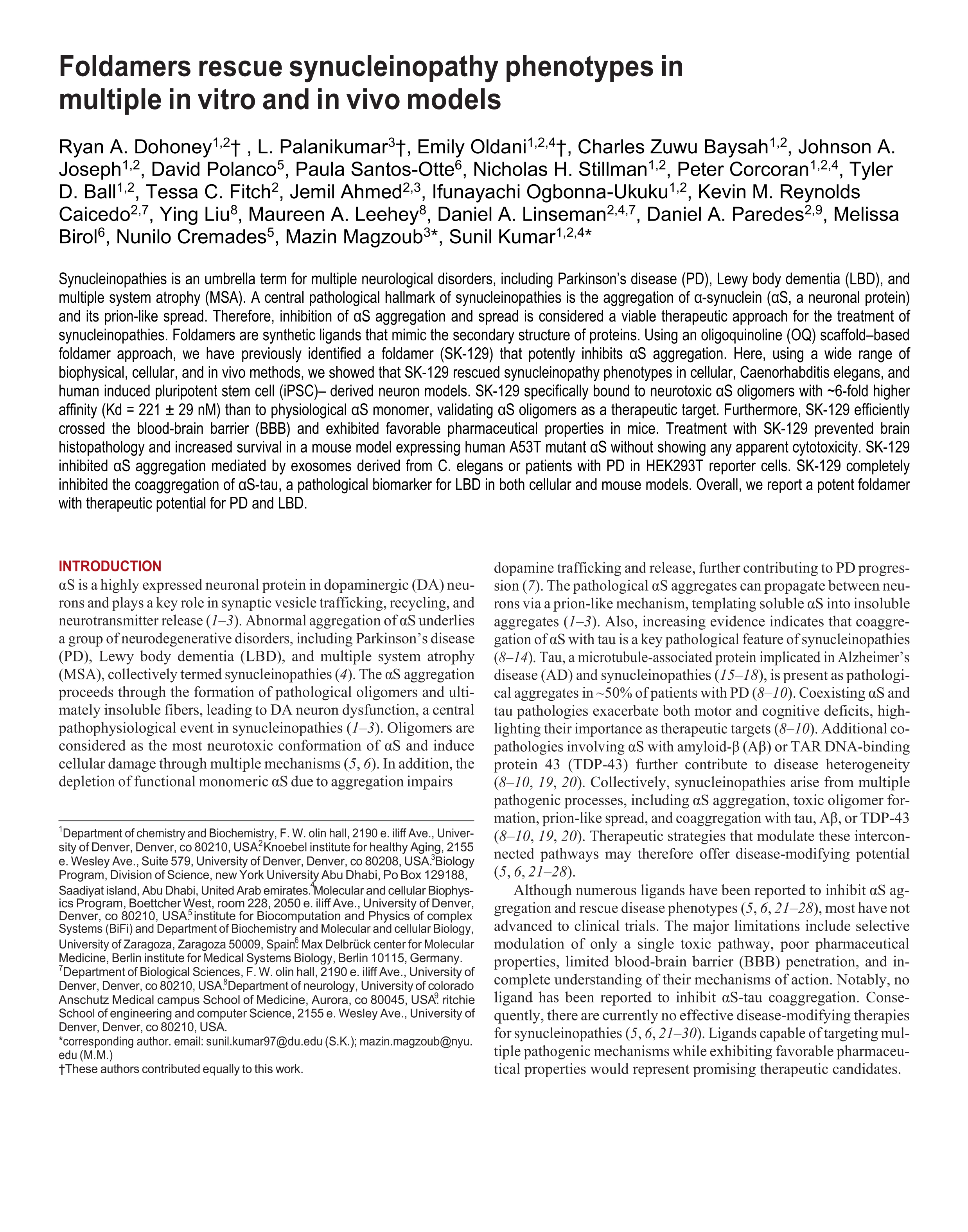 Foldamers rescue synucleinopathy phenotypes in multiple in vitro and in vivo models