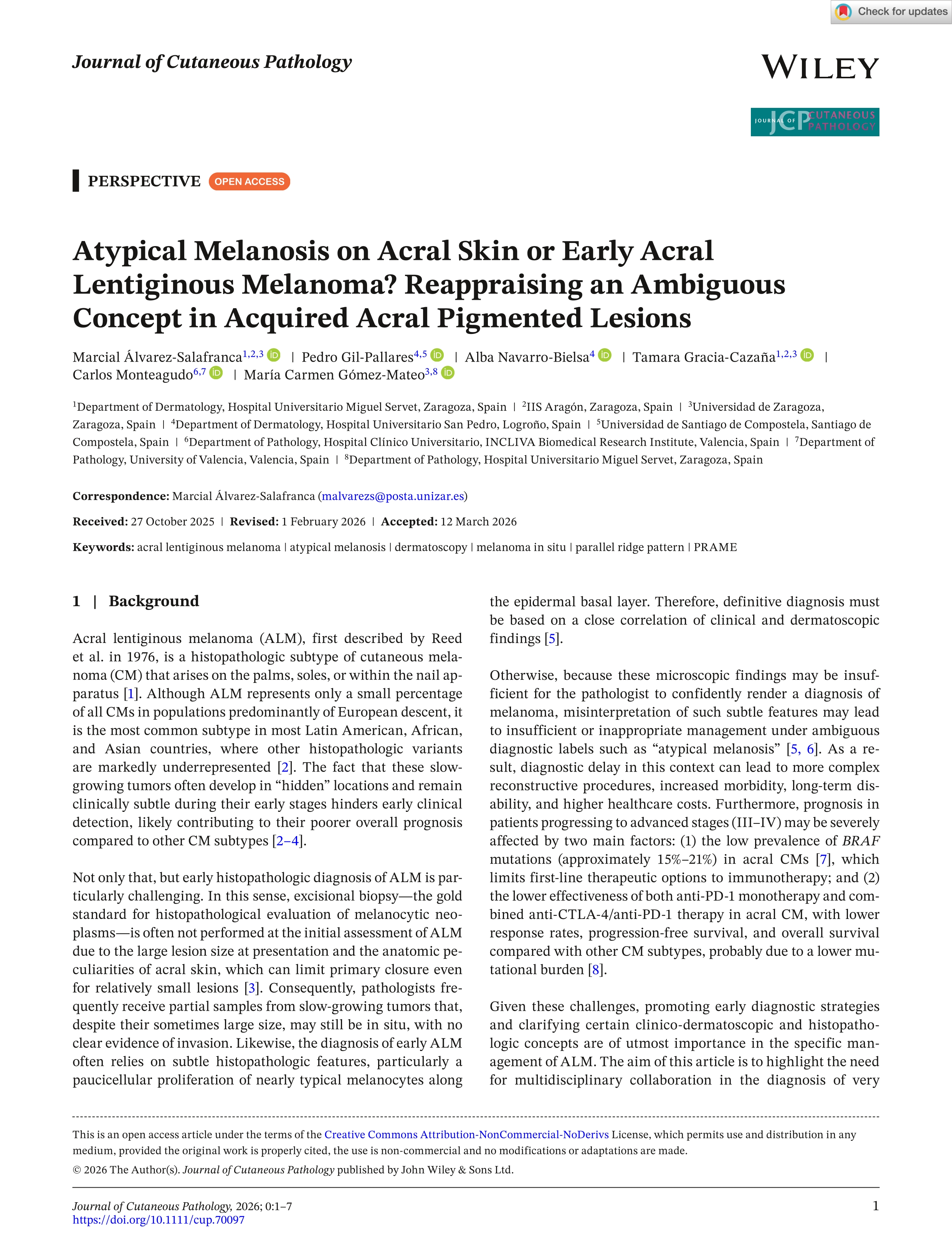 Atypical Melanosis on Acral Skin or Early Acral Lentiginous Melanoma? Reappraising an Ambiguous Concept in Acquired Acral Pigmented Lesions